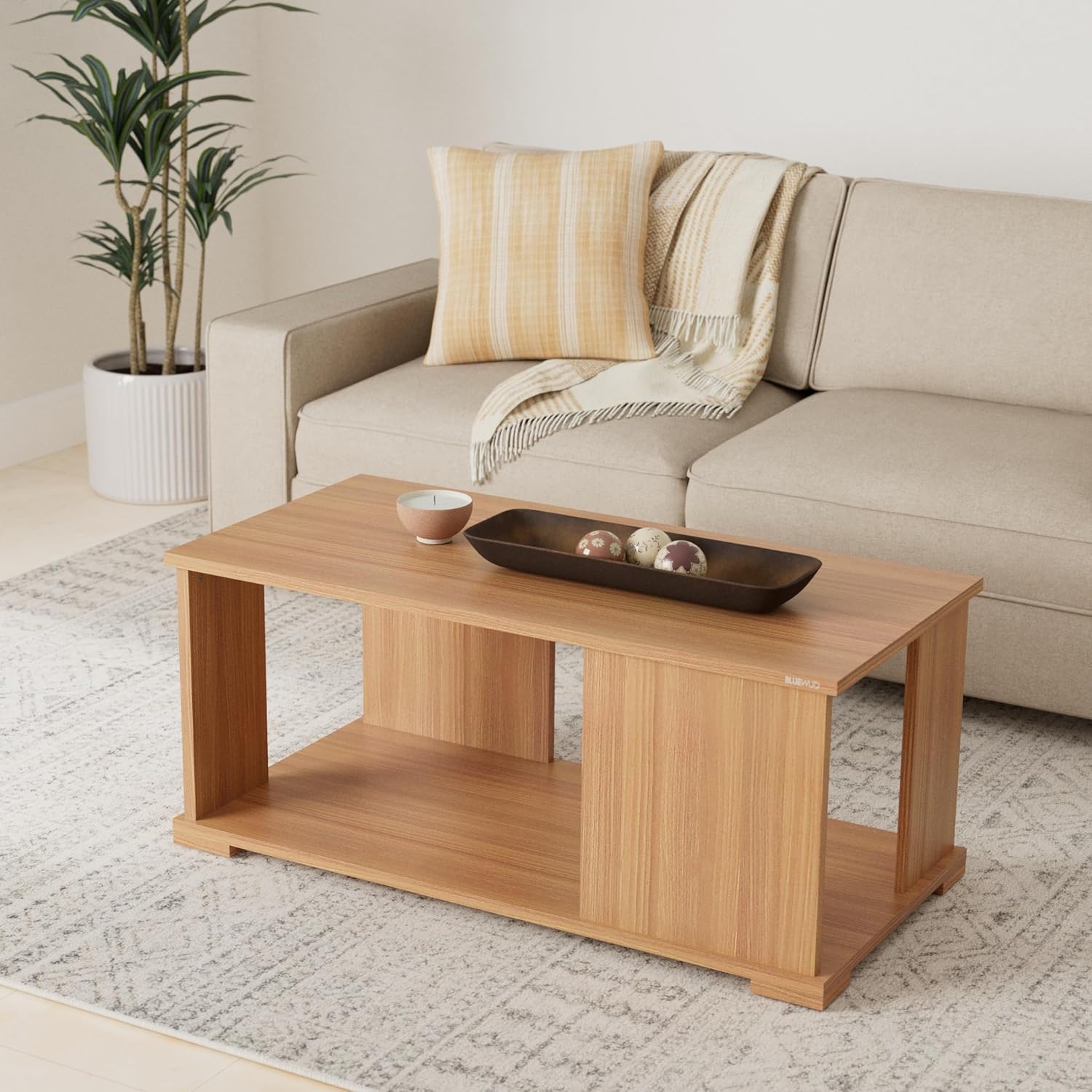 Coffee Table with Shelves