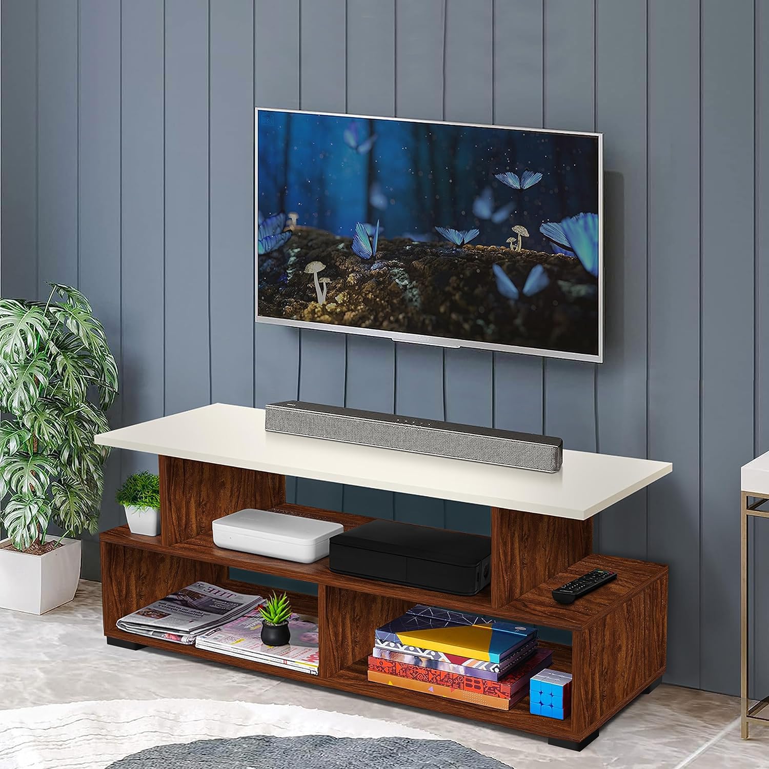 Modern Entertainment Center