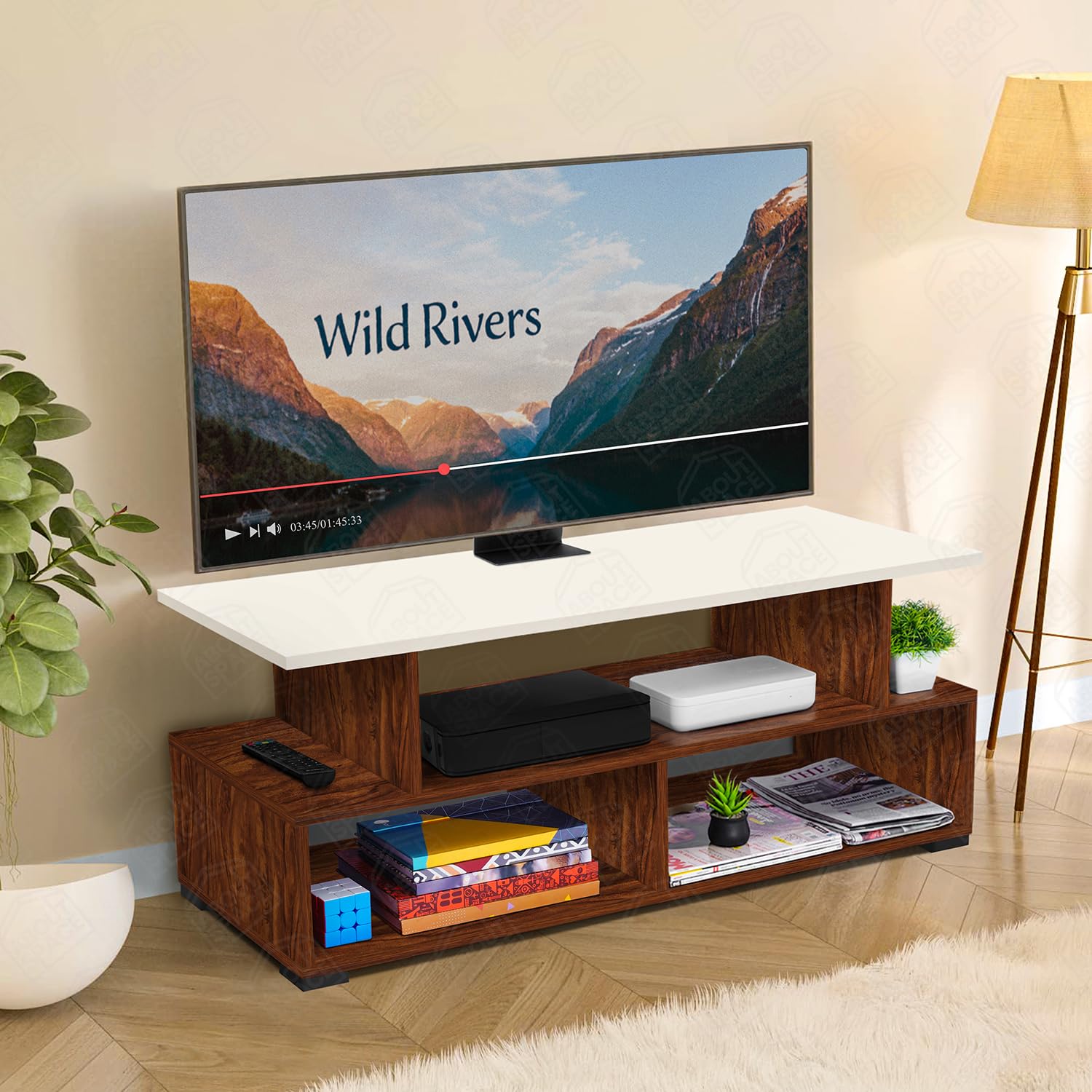 Modern Entertainment Center