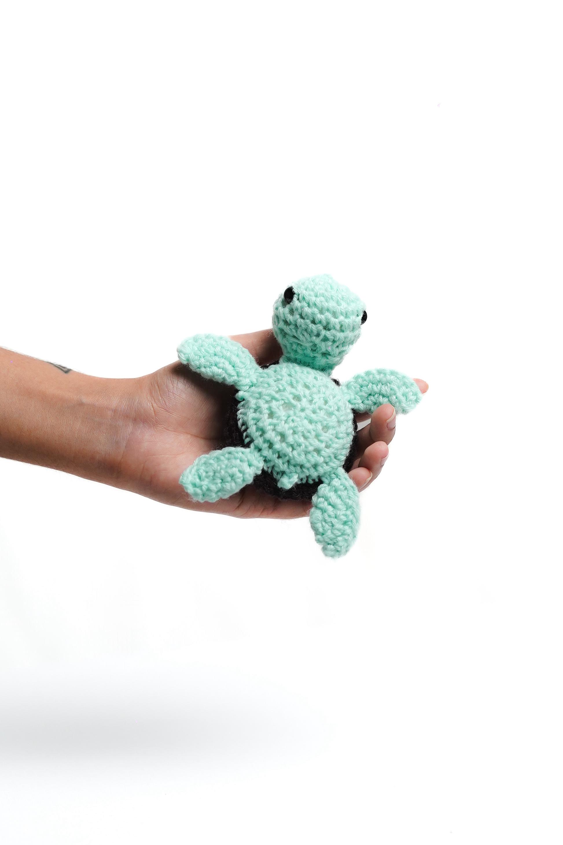 Mint Chocolate Turtle