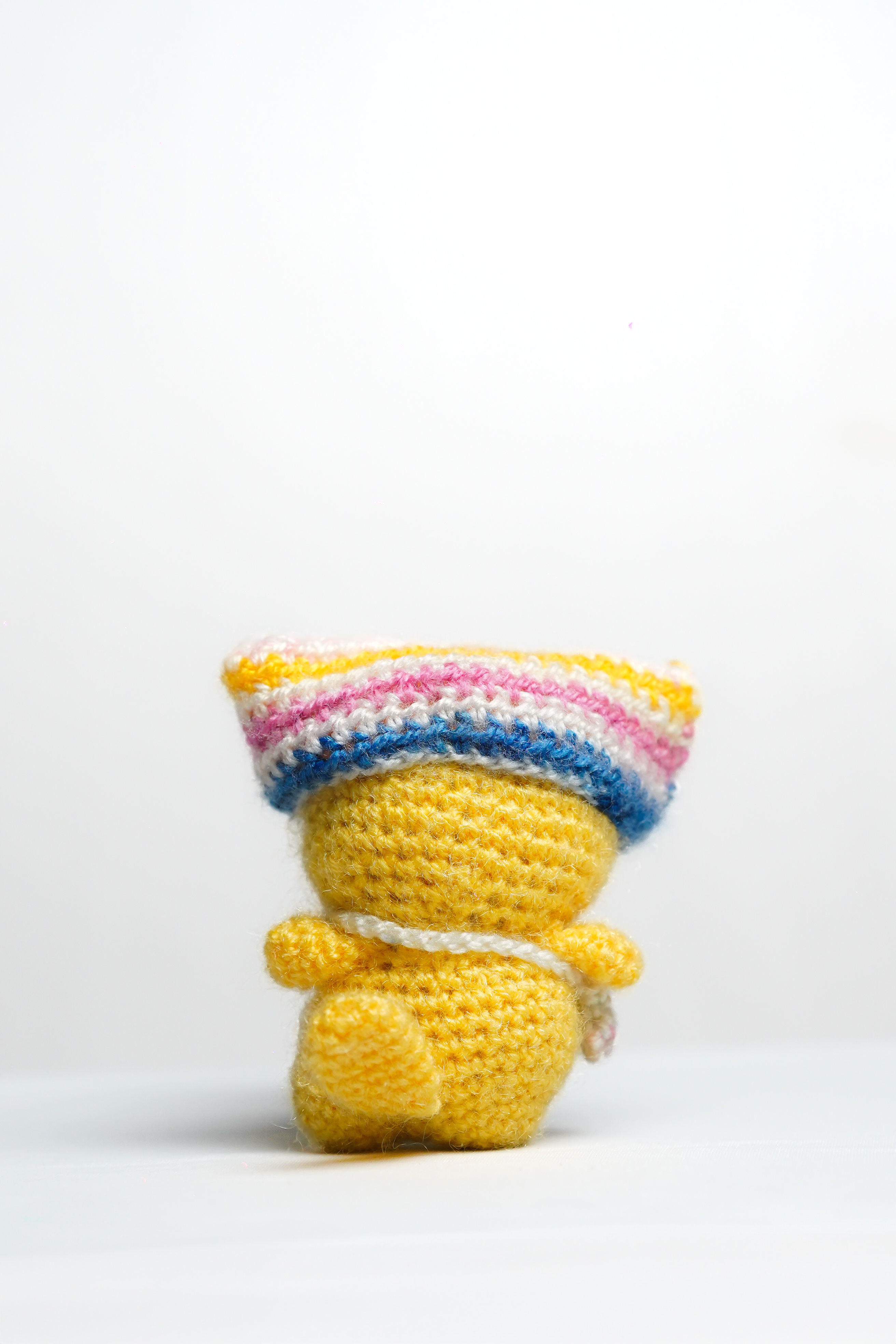 Cat with Hat & Purse