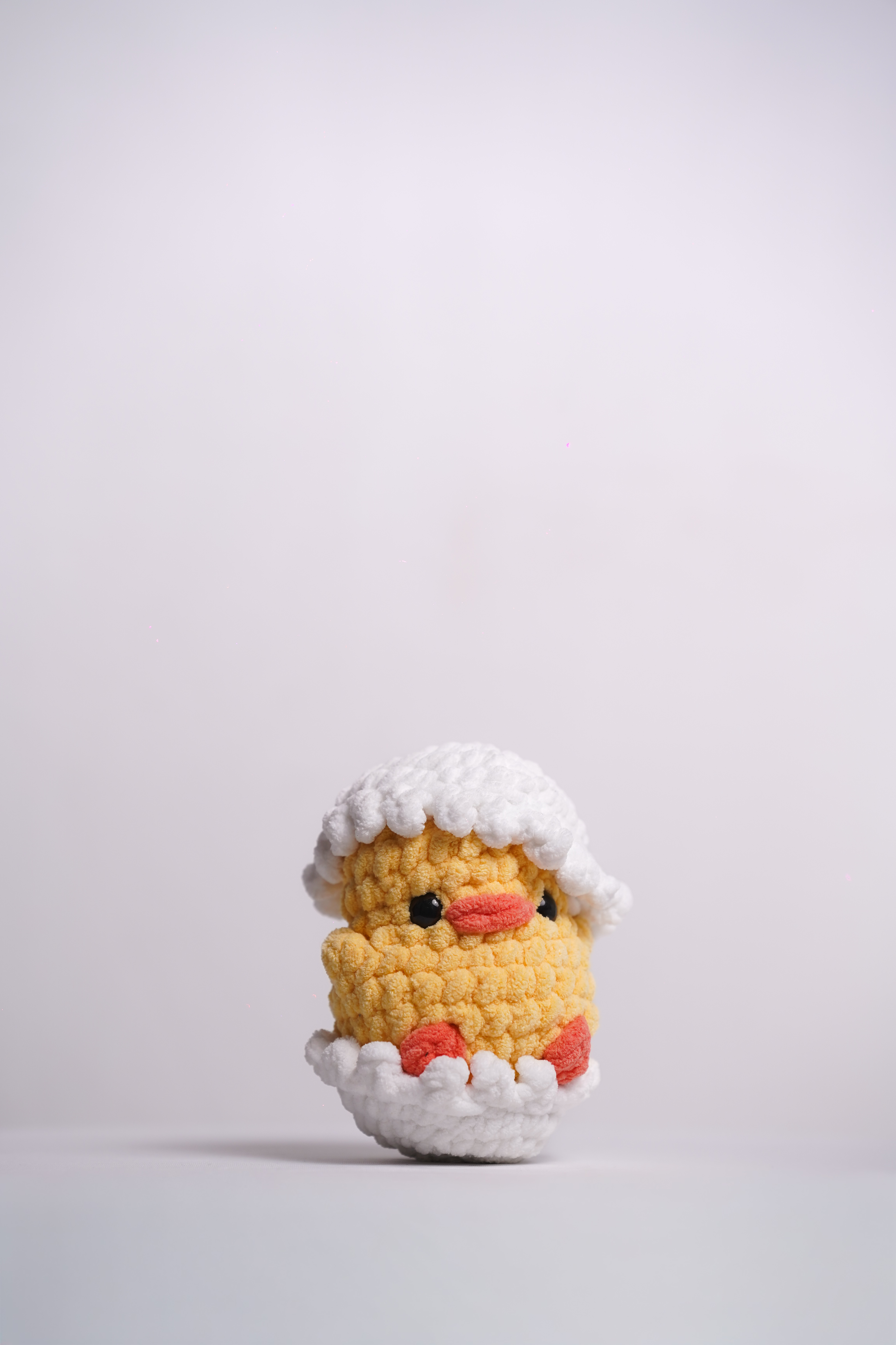 Newly Hatched Chonky Chick