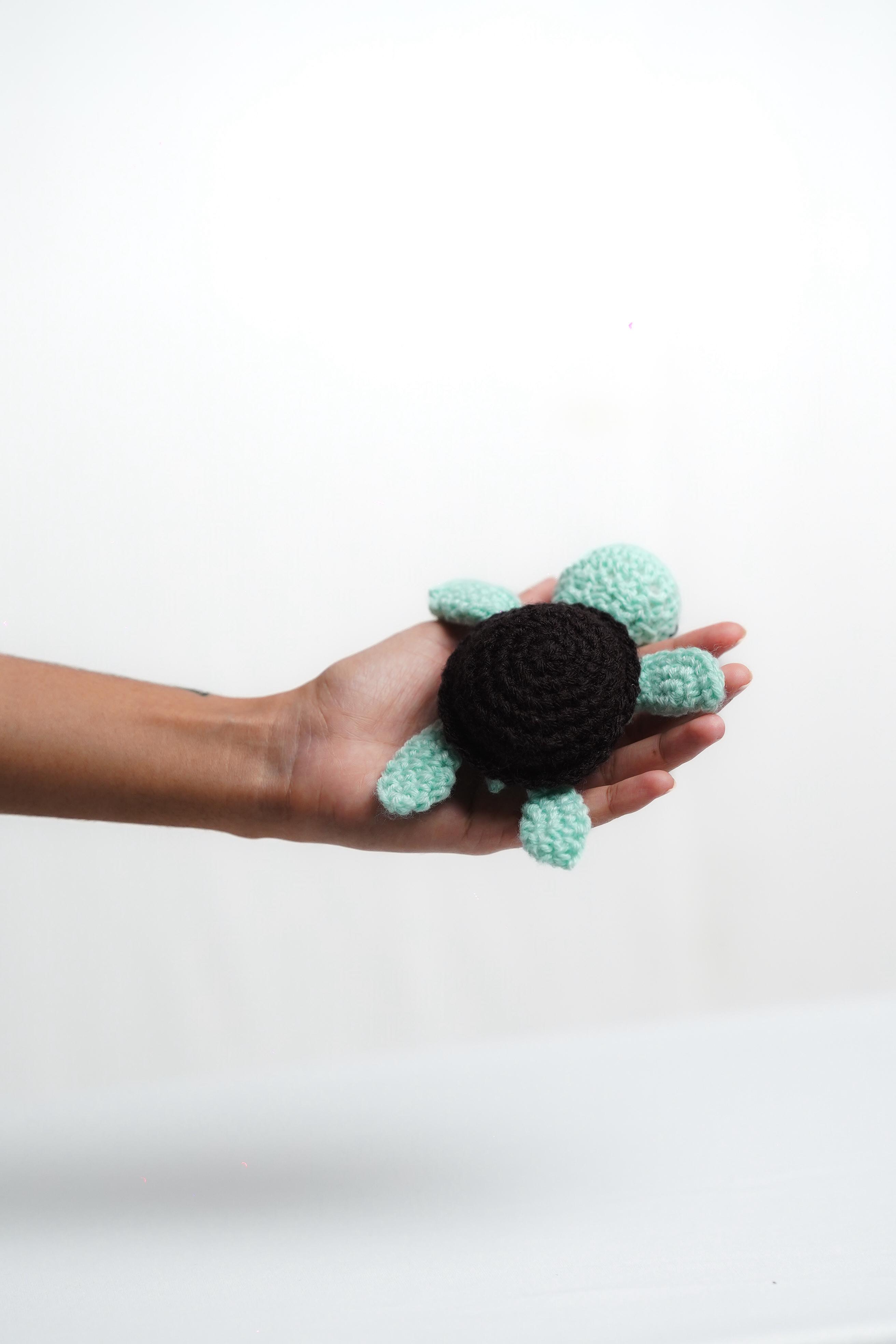 Mint Chocolate Turtle