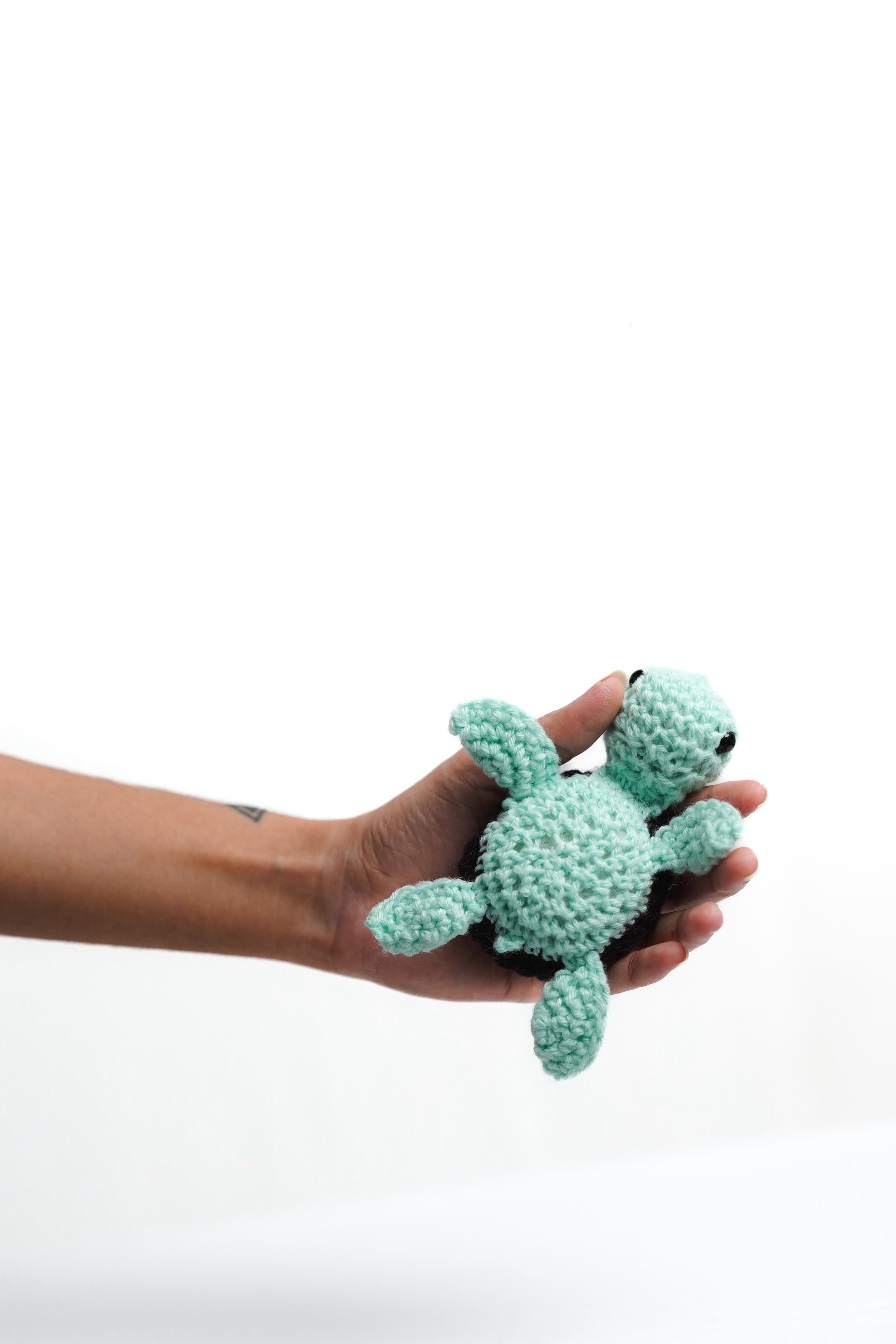 Mint Chocolate Turtle