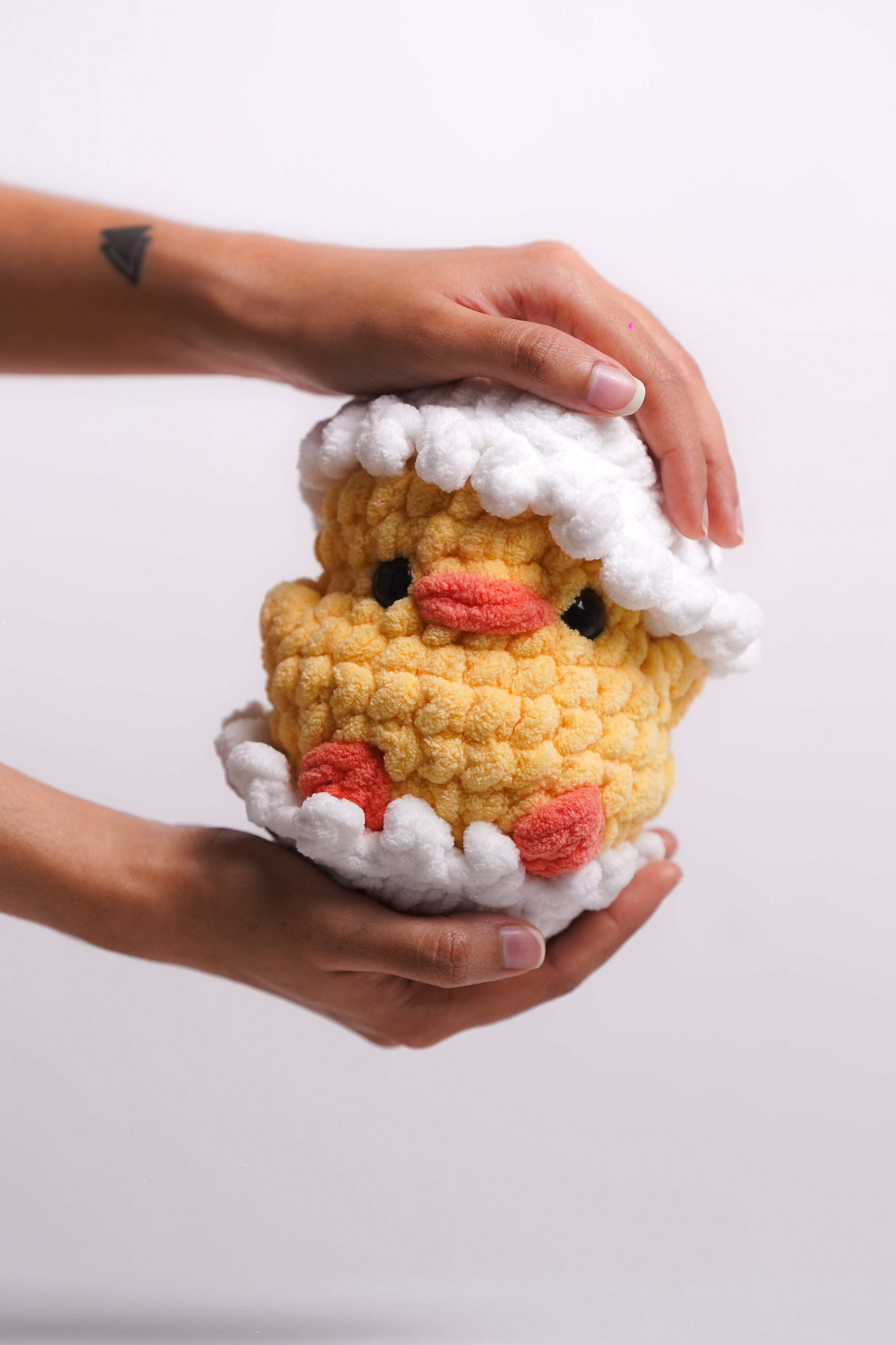 Newly Hatched Chonky Chick