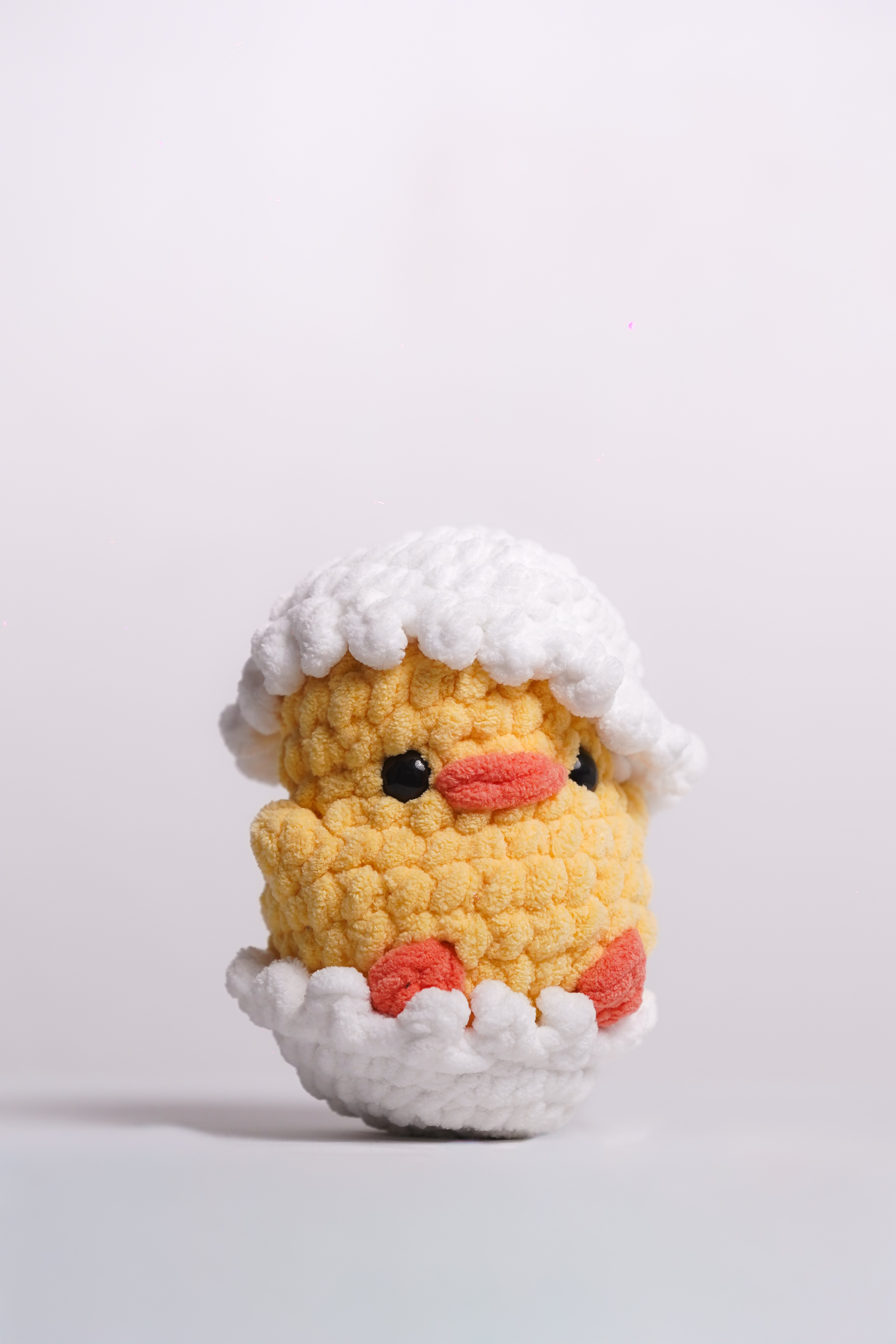 Newly Hatched Chonky Chick