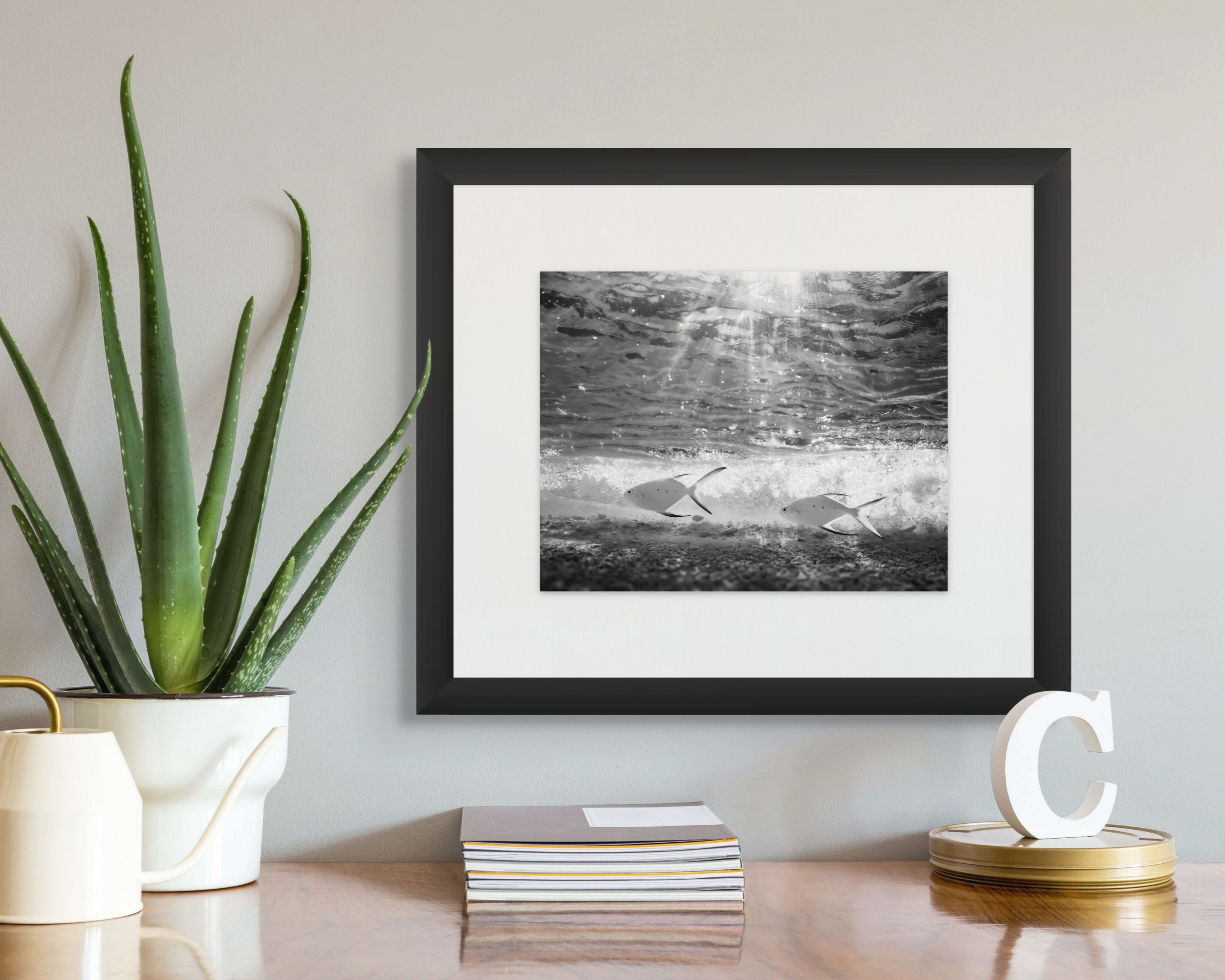 Underwater Fine Art Photography | Shallow Sanctuary Madagascar Marine Life Limited Edition Tropical Fish Wall Art Collection