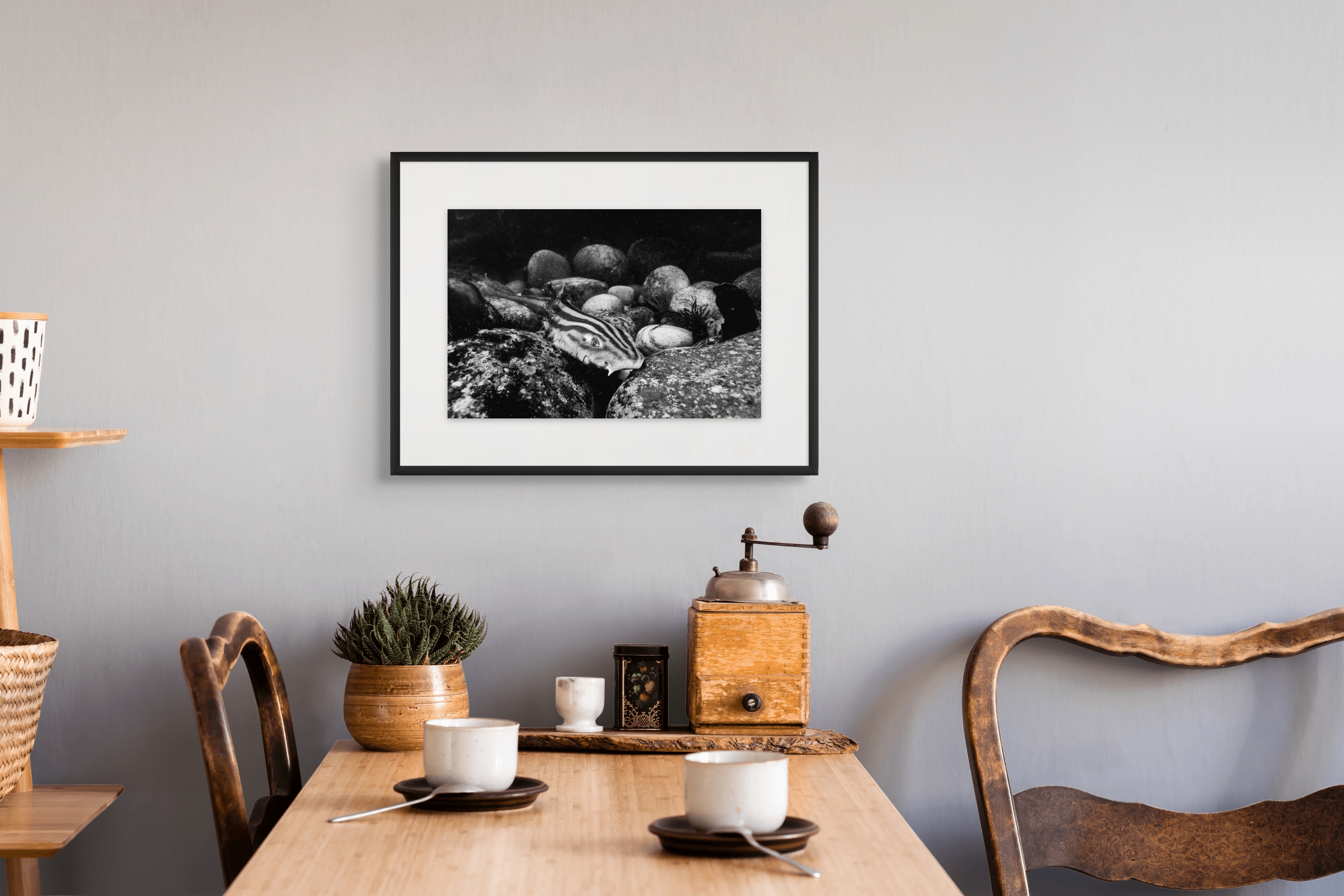 Guardian Stone Garden Pyjama Shark Limited Edition Print - Museum Quality Contemporary Underwater Fine Art Photograph