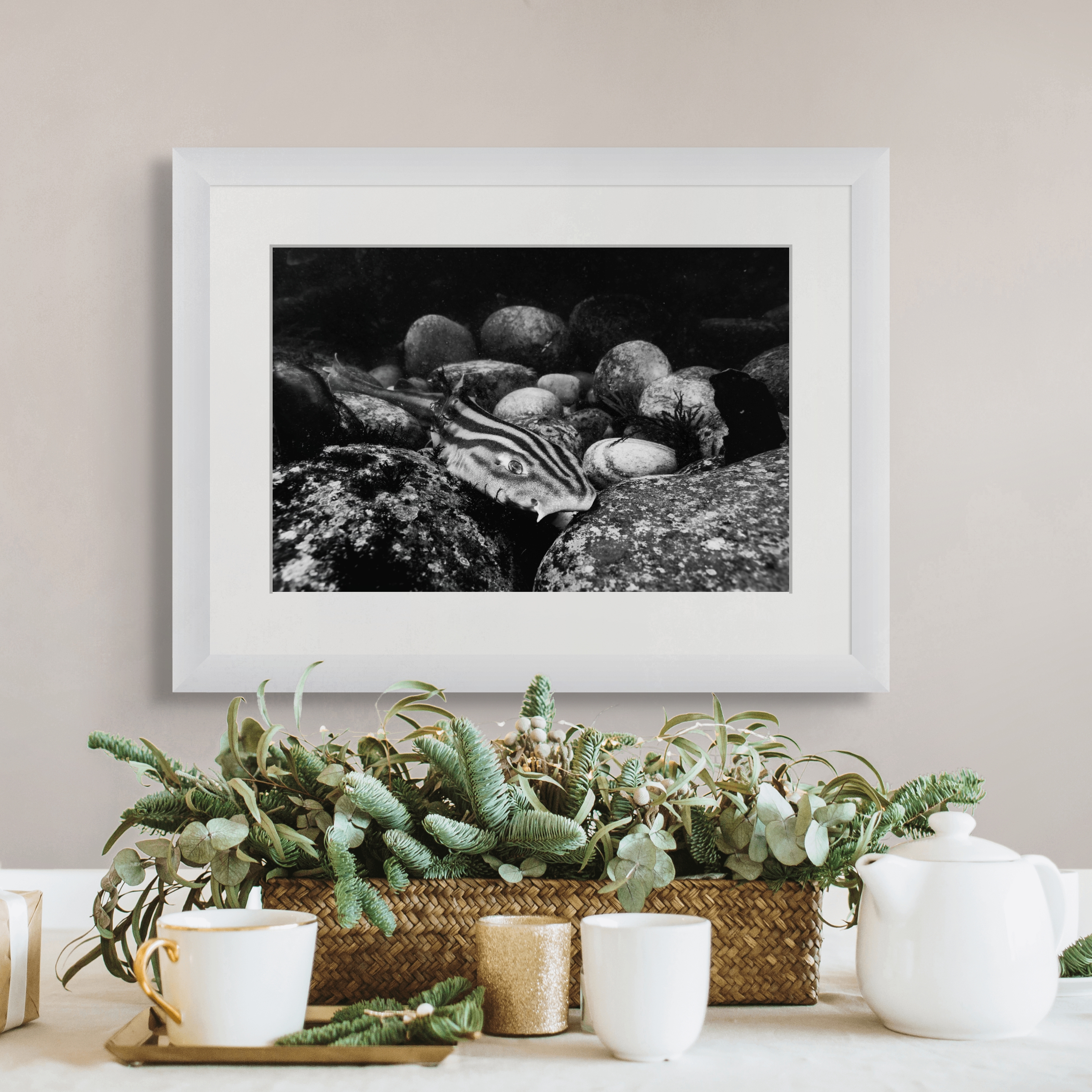 Guardian Stone Garden Pyjama Shark Limited Edition Print - Museum Quality Contemporary Underwater Fine Art Photograph