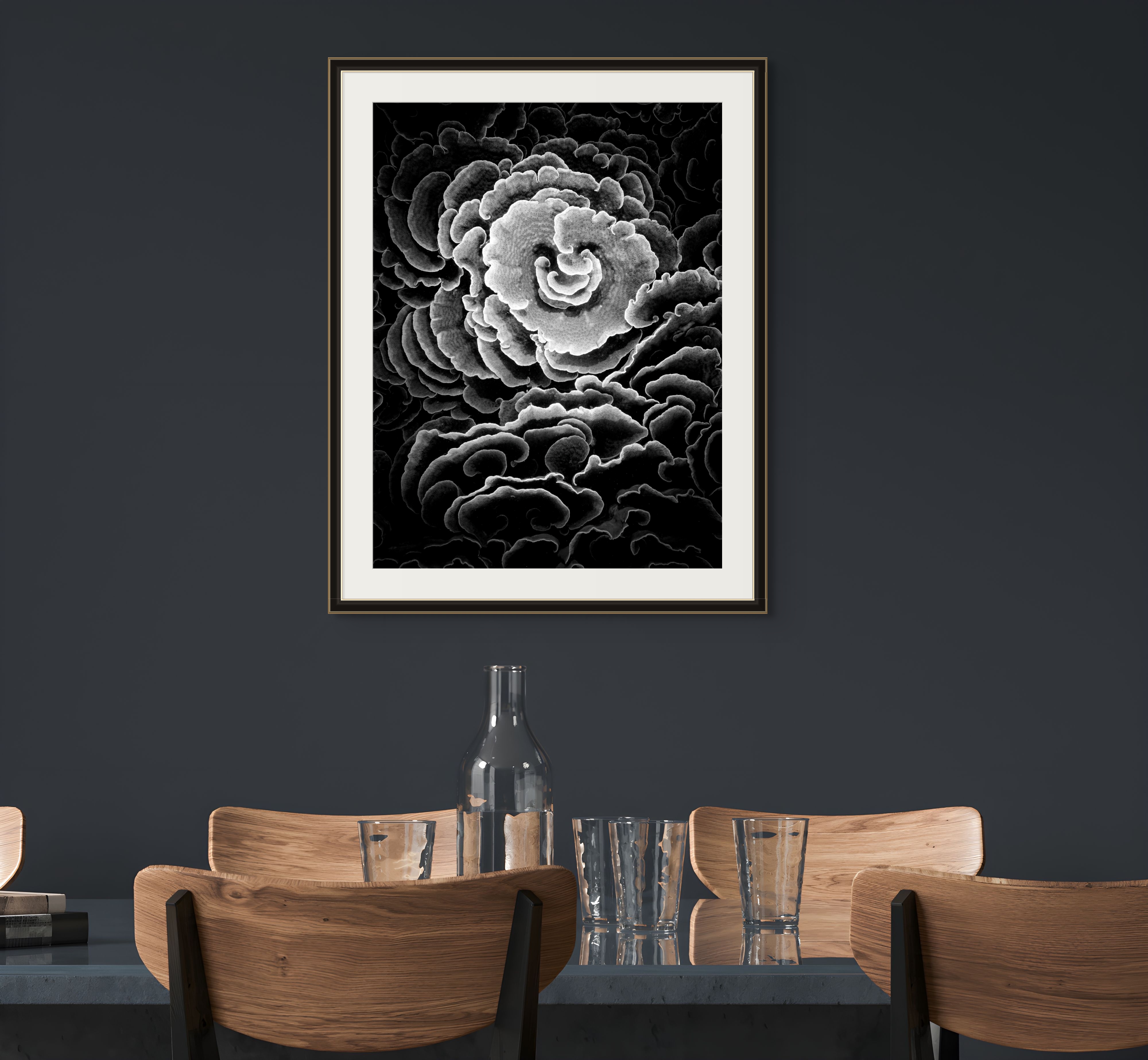 Underwater Fine Art Photography | Spiral Coral Formations Limited Edition Monochrome Marine Wall Art