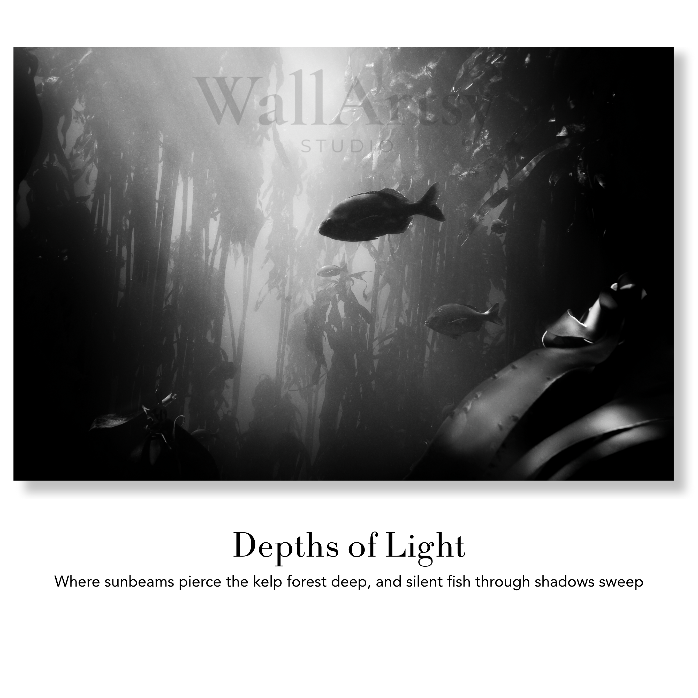 Underwater Fine Art Photography | Depths of Light Kelp Forest Limited Edition Marine Cathedral Wall Art