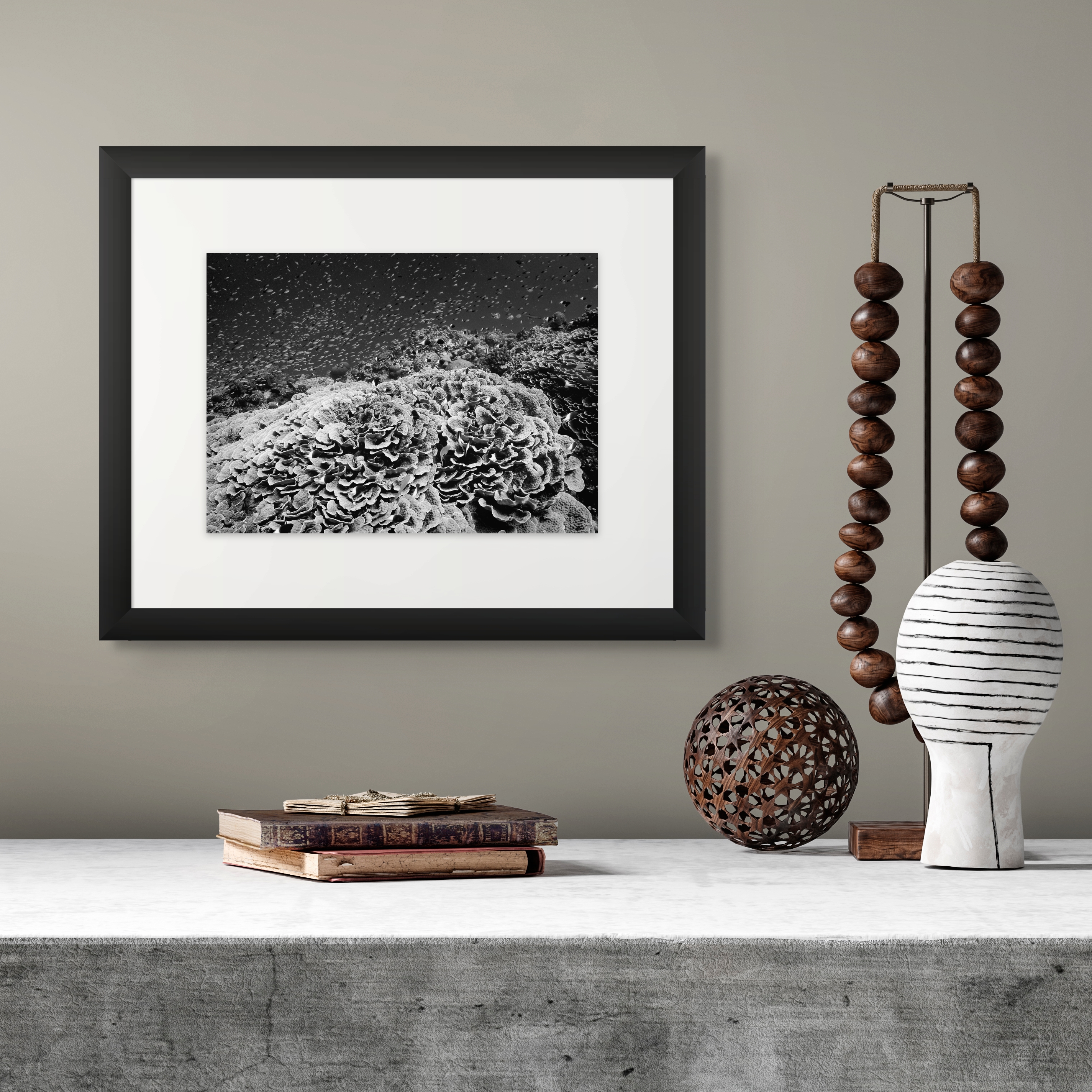 Underwater Fine Art Photography | Black and White Coral Reef Art | Museum Quality Ocean Photography 