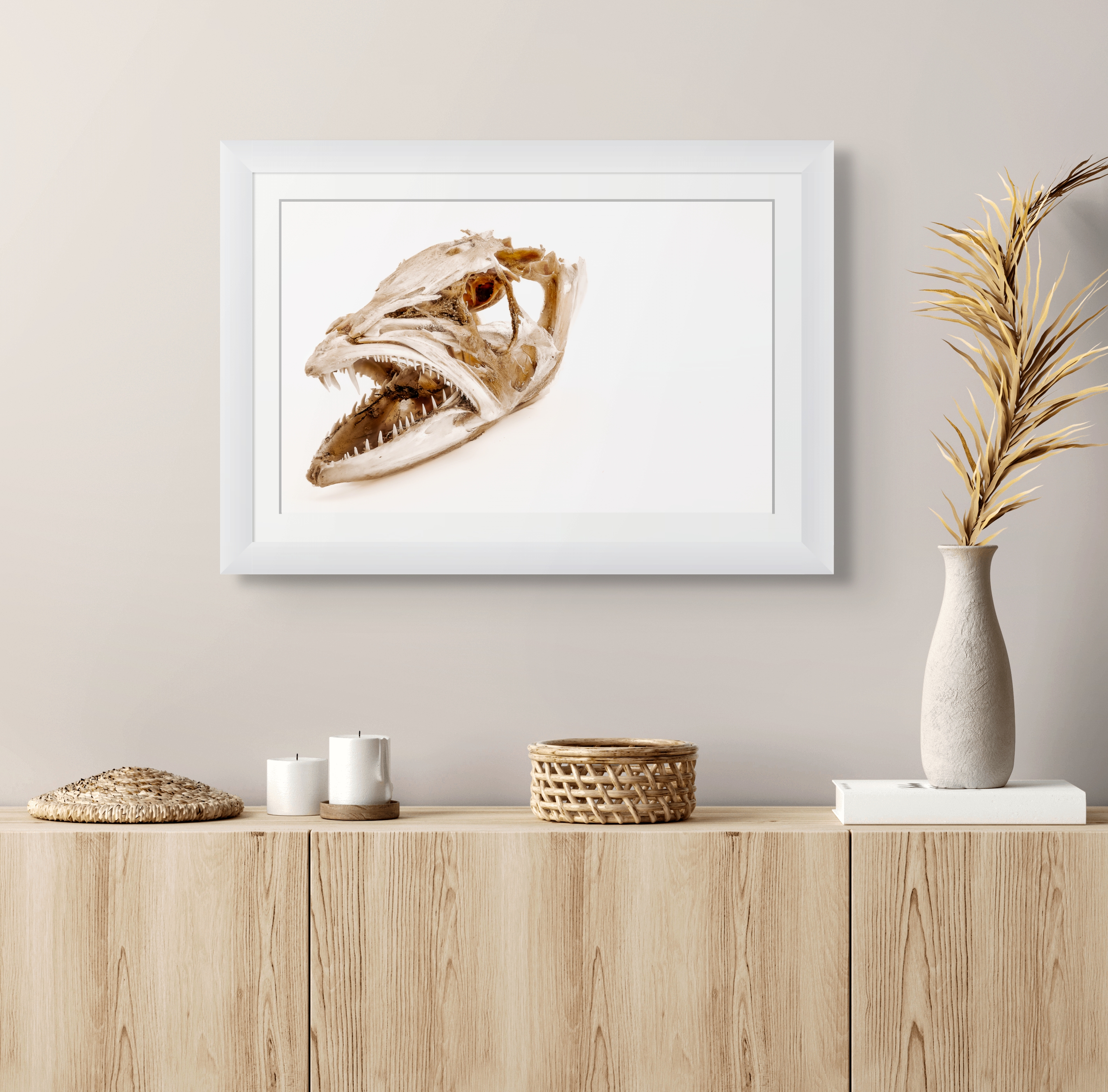 Marine Fine Art Photography | Weathered Grace Wabi-Sabi Minimalist Natural History Wall Art Collection
