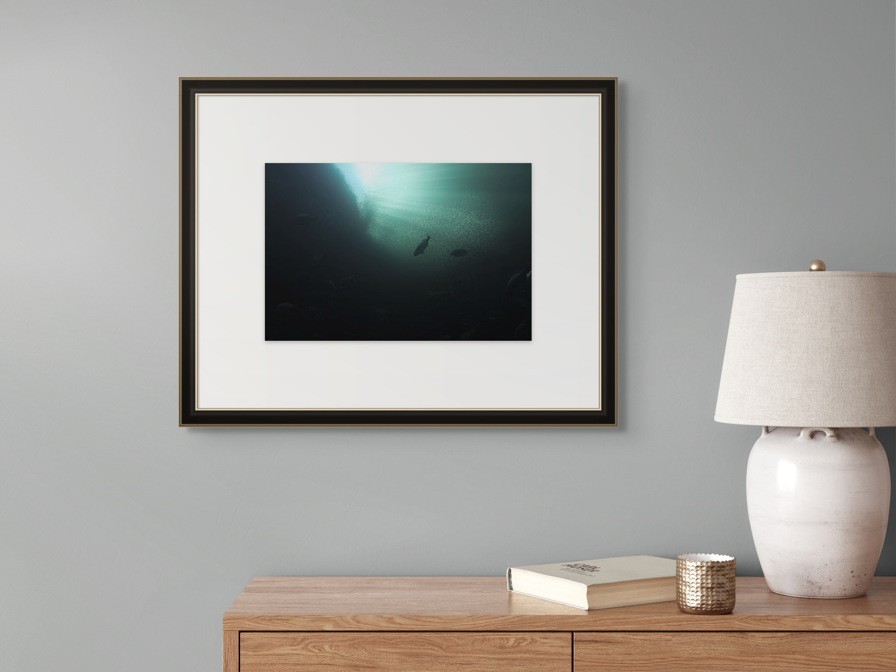 Underwater Fine Art Photography | Depths of Light Silver Shoals Limited Edition Atlantic Marine Wildlife Collection