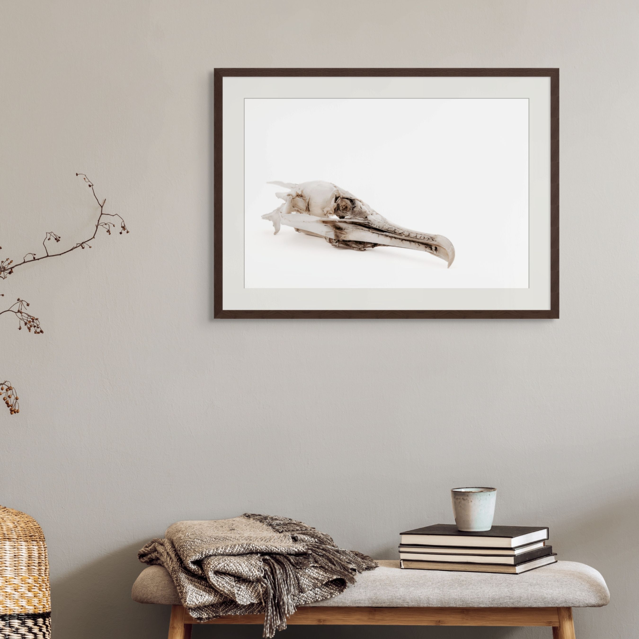 Memento Mori Fine Art Photography Print | Minimalist Bird Skull Limited Edition Wabi-Sabi Print