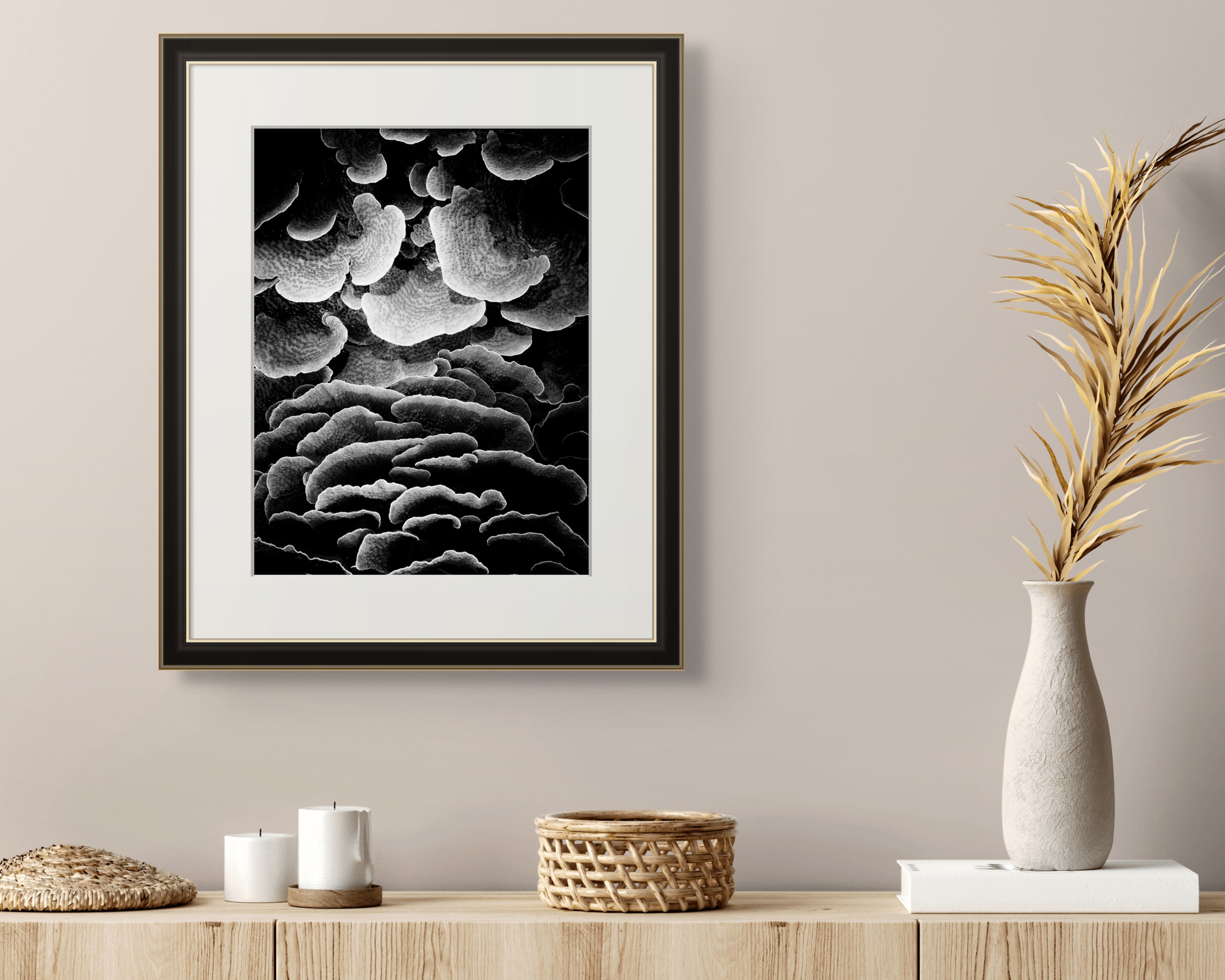 Underwater Fine Art Photography | Dramatic Black White Coral Formations | Museum Quality Marine Photography