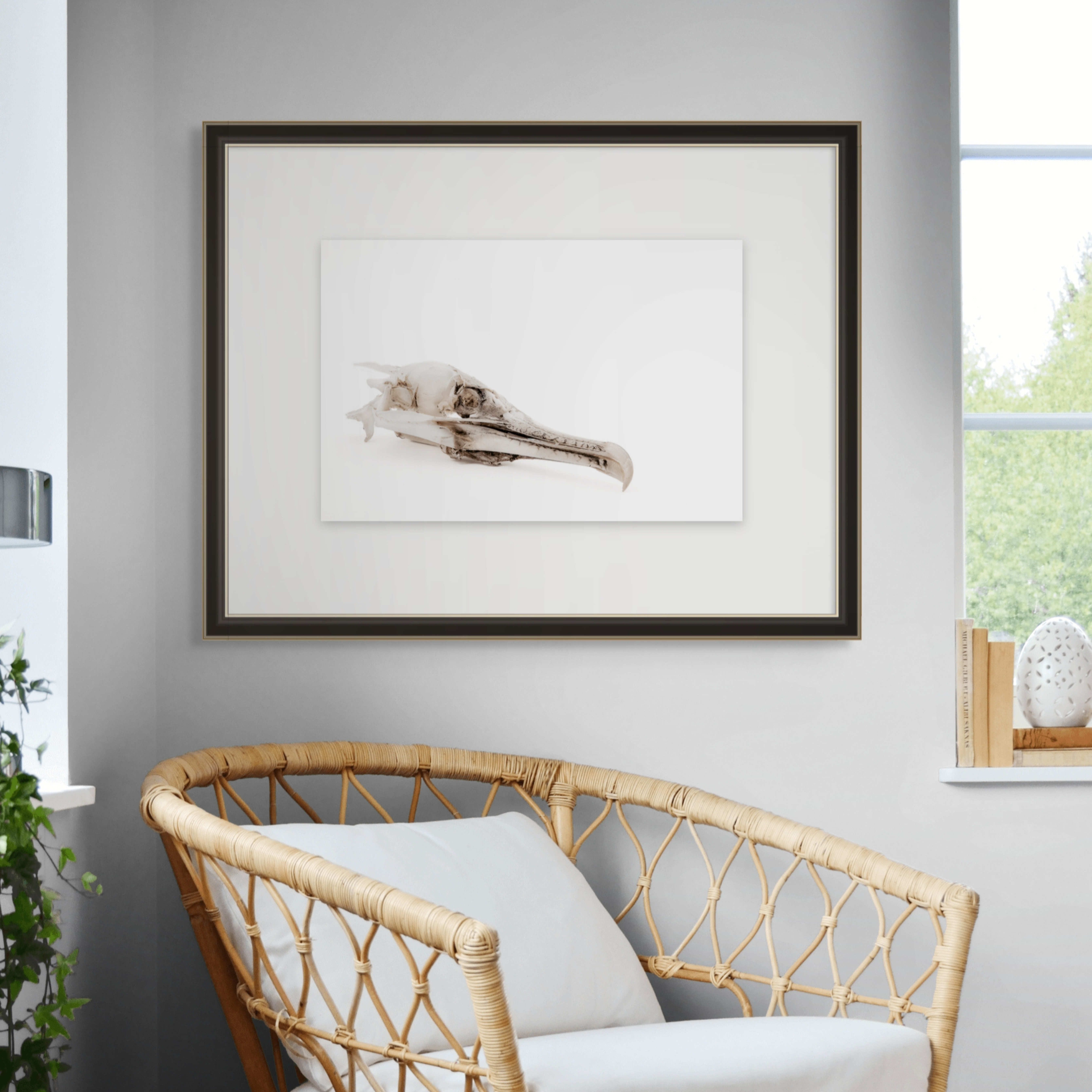 Memento Mori Fine Art Photography Print | Minimalist Bird Skull Limited Edition Wabi-Sabi Print