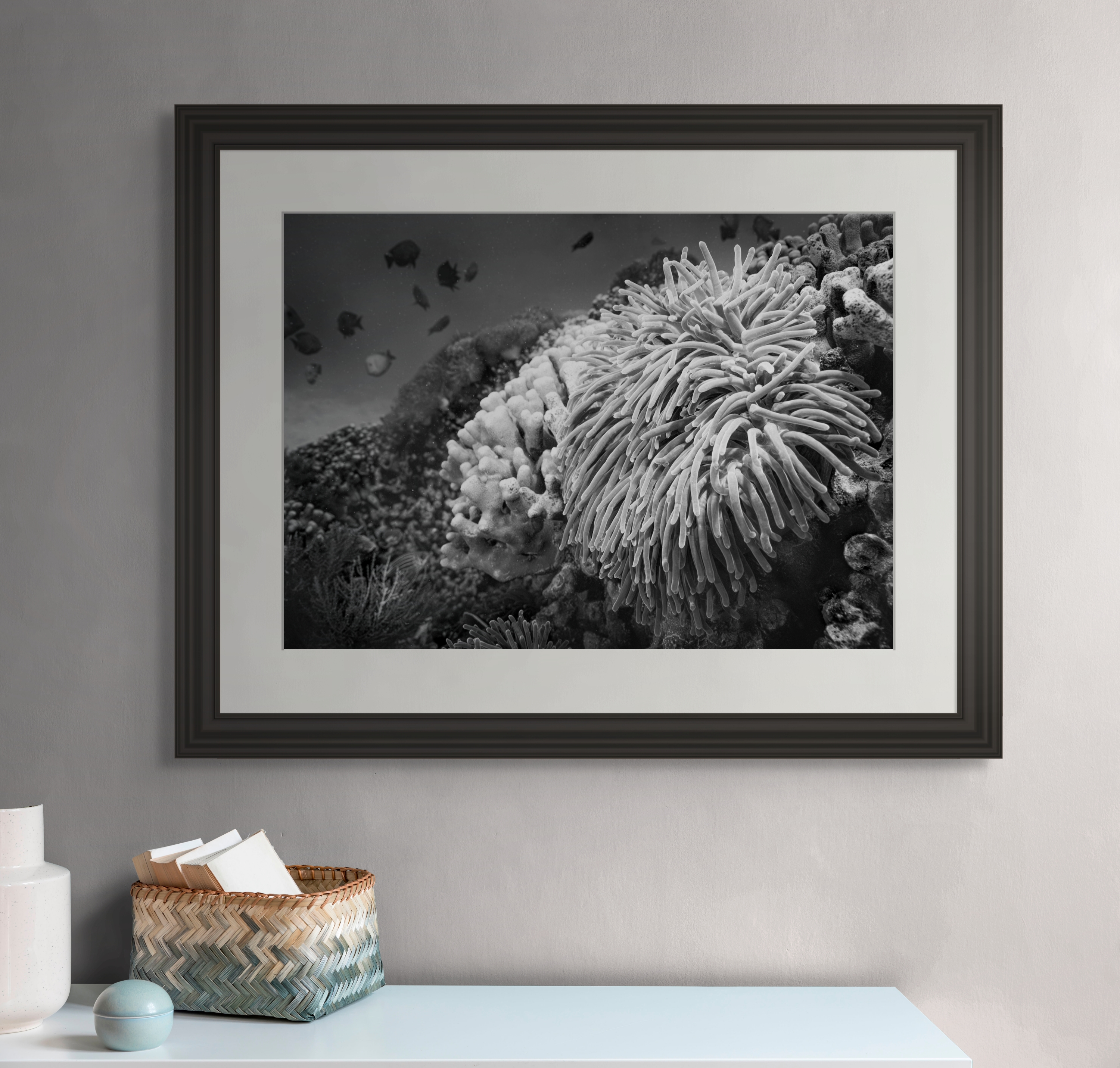 Underwater Fine Art Photography | Black and White Contemporary Coral Reef Wall Art Print