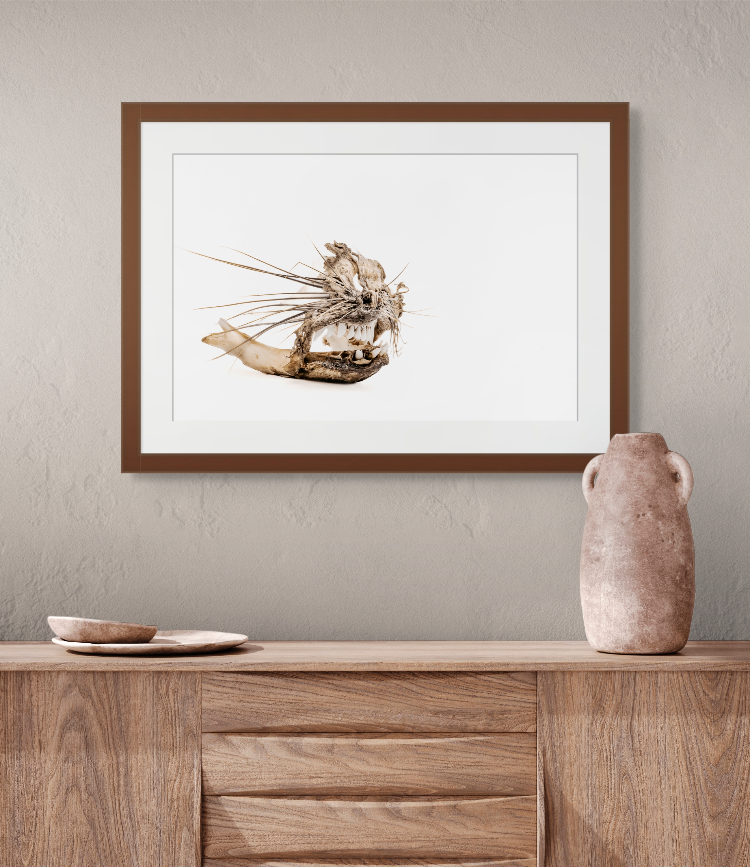 Coastal Fine Art Photography | Remnant's Song Hyrax Specimen Contemporary Wabi-Sabi Natural History Collection