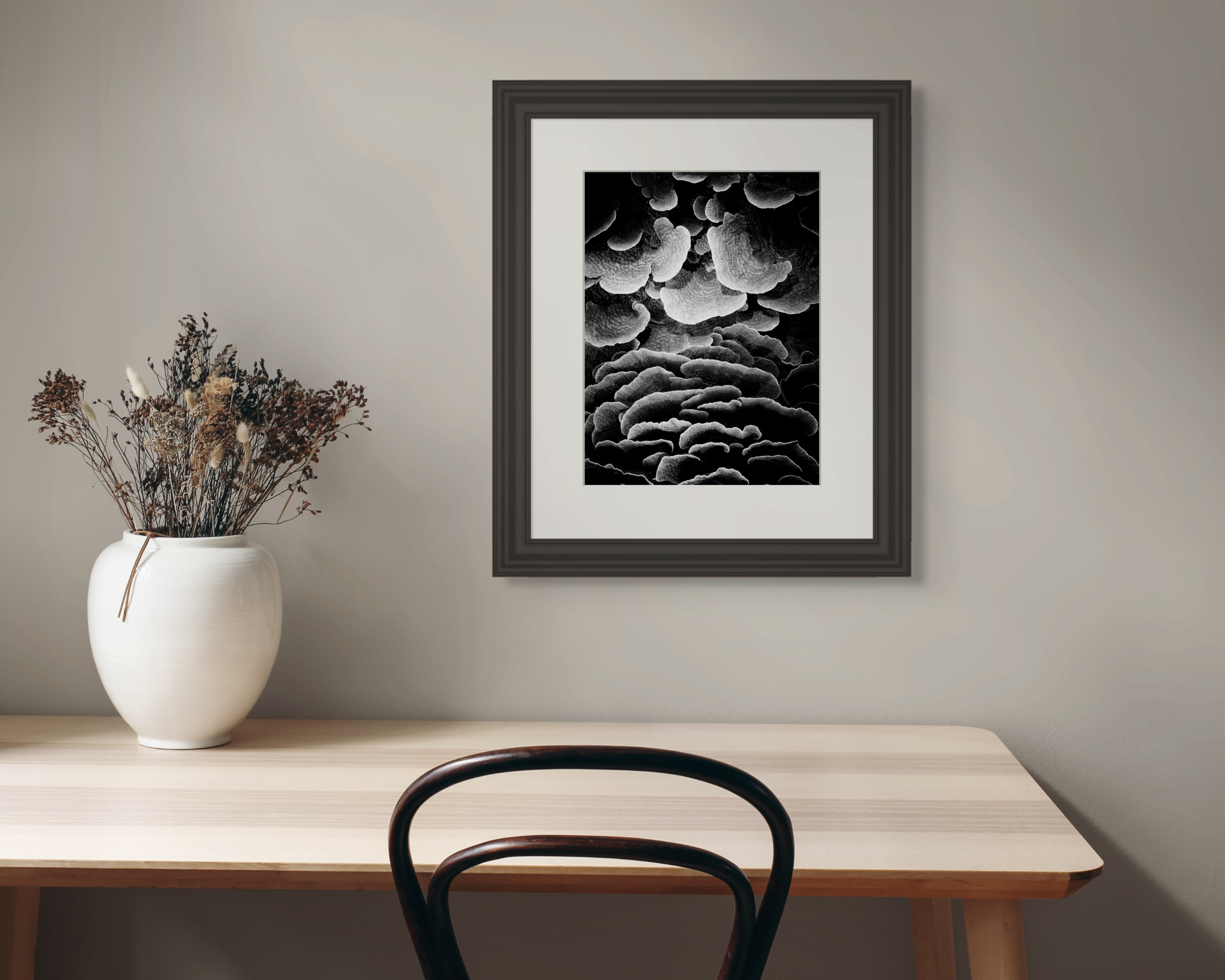 Underwater Fine Art Photography | Dramatic Black White Coral Formations | Museum Quality Marine Photography