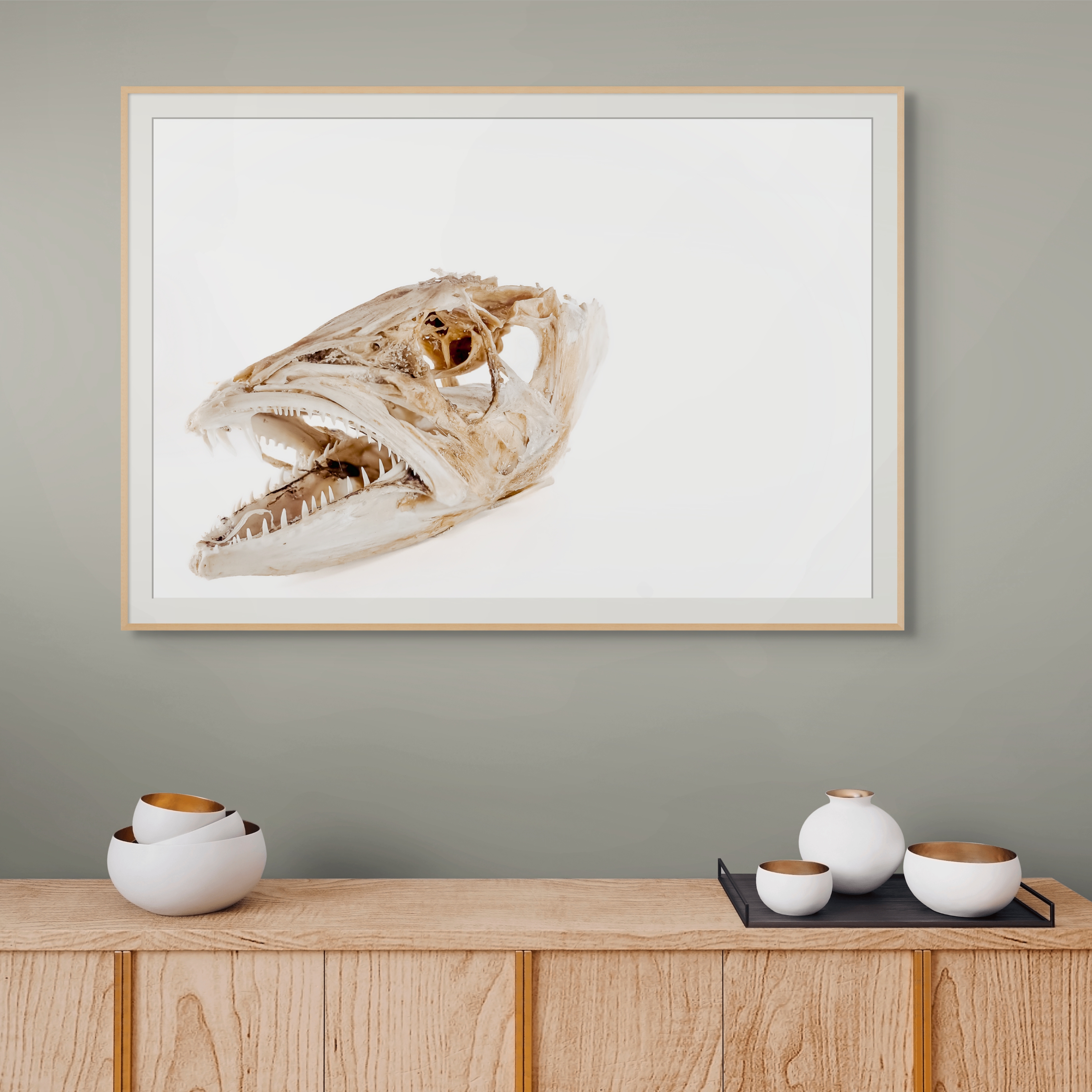 Marine Fine Art Photography | Weathered Grace Wabi-Sabi Minimalist Natural History Wall Art Collection