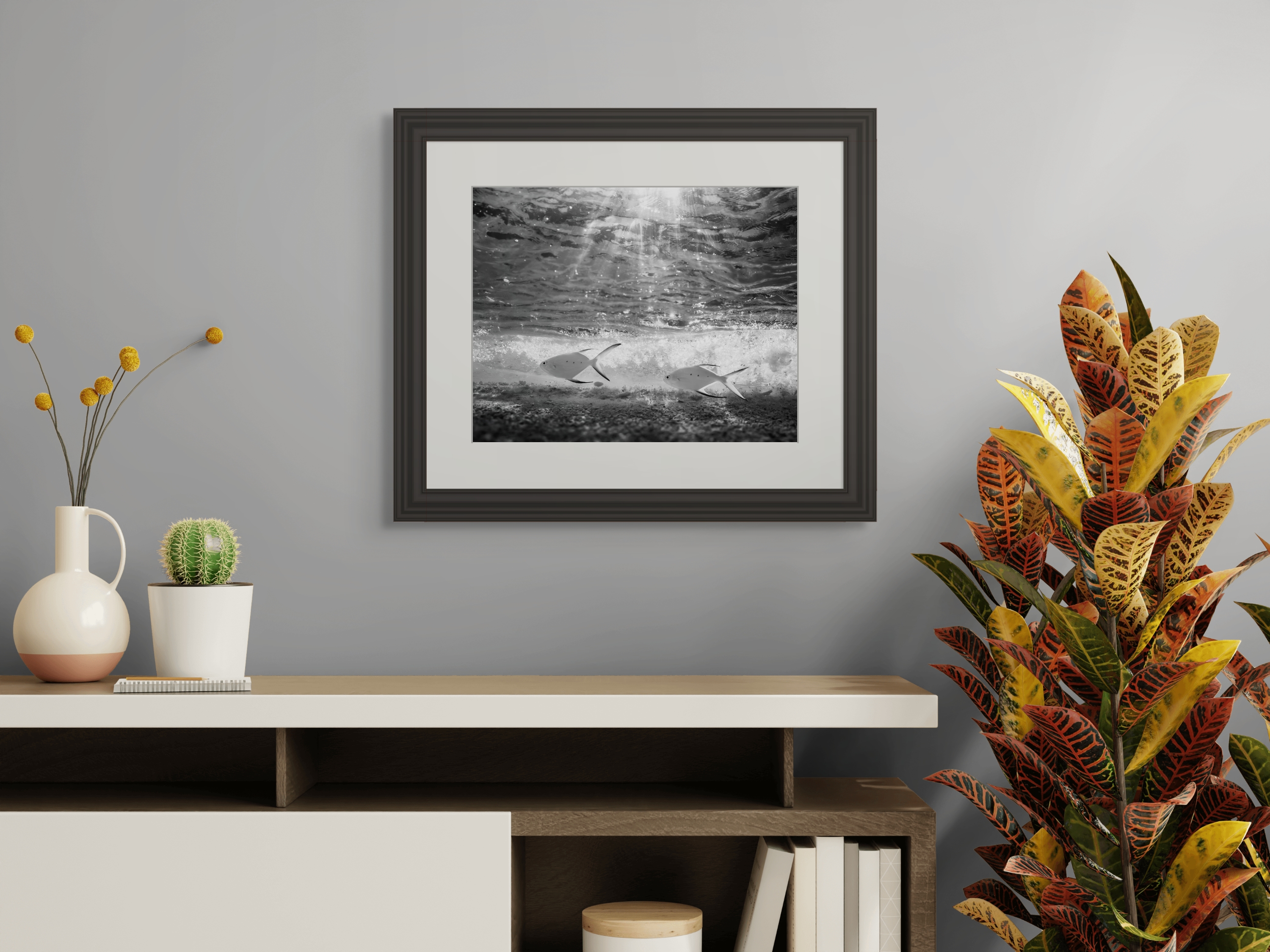 Underwater Fine Art Photography | Shallow Sanctuary Madagascar Marine Life Limited Edition Tropical Fish Wall Art Collection