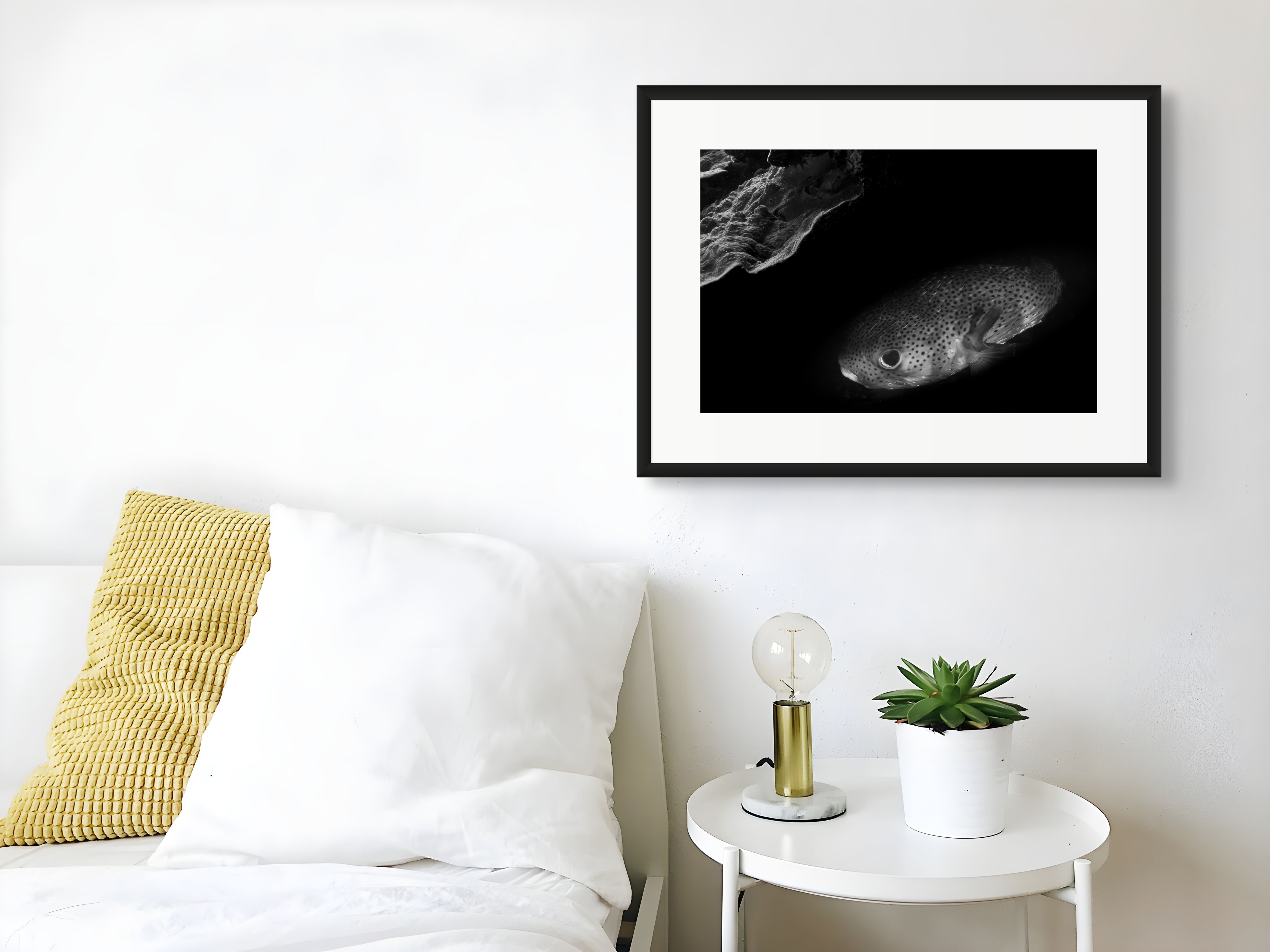 Underwater Fine Art Photography | Coral Reef Fish Black and White Contemporary Art