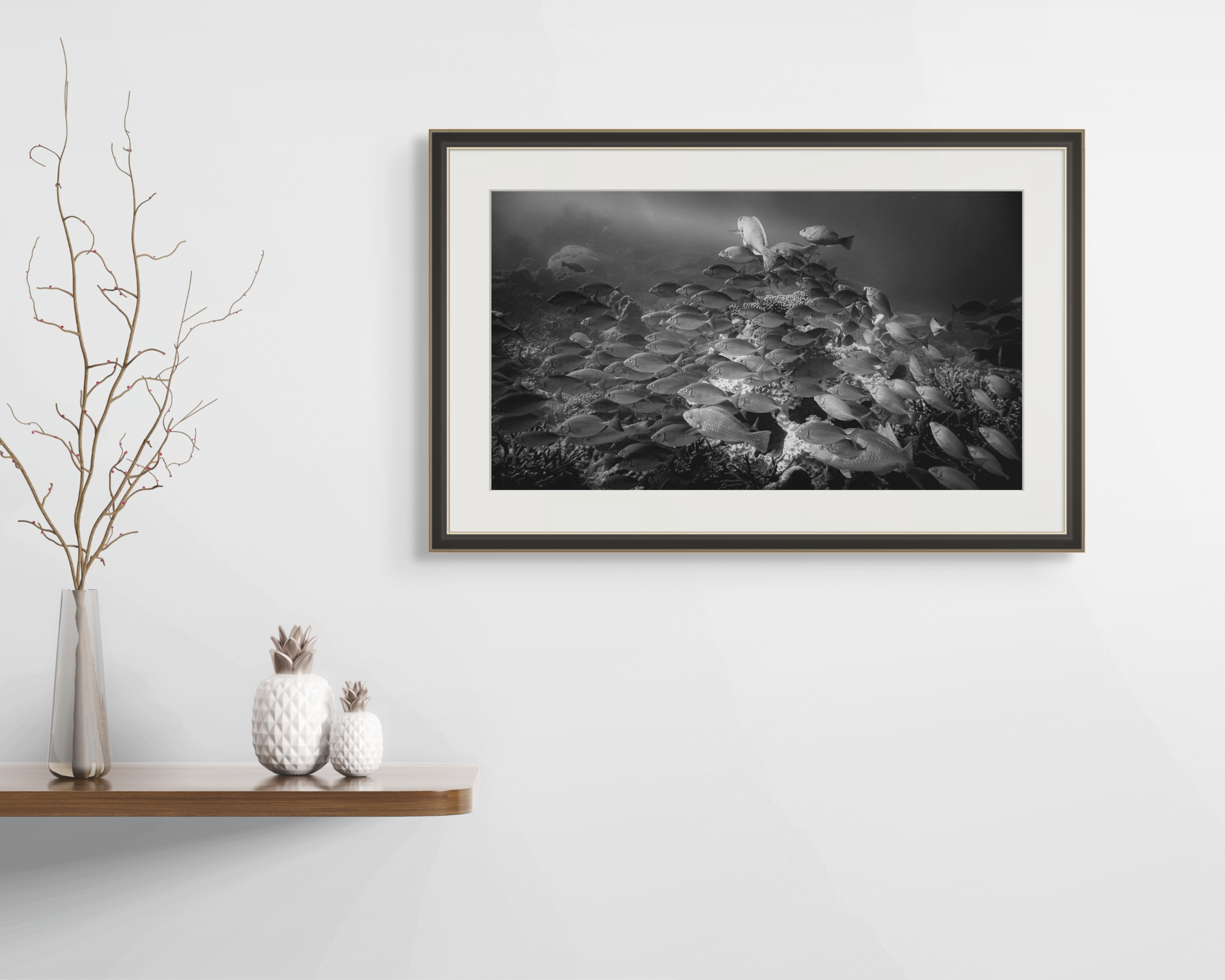 Underwater Fine Art Photography | Sanctuary School of Fish Limited Edition Monochrome Marine Life Collection