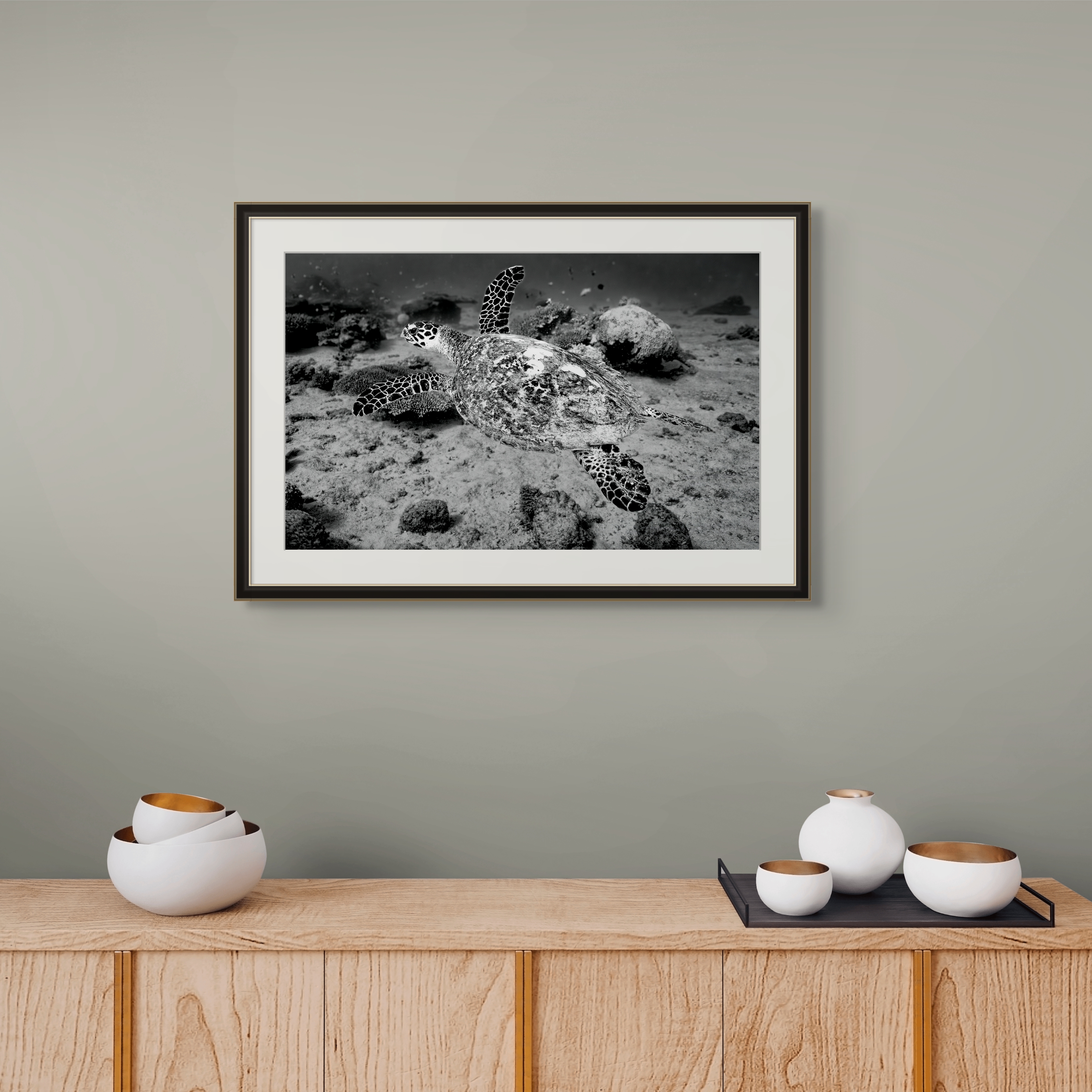 Underwater Fine Art Photography | Ancient Navigator Sea Turtle Limited Edition Monochrome Marine Wildlife Collection
