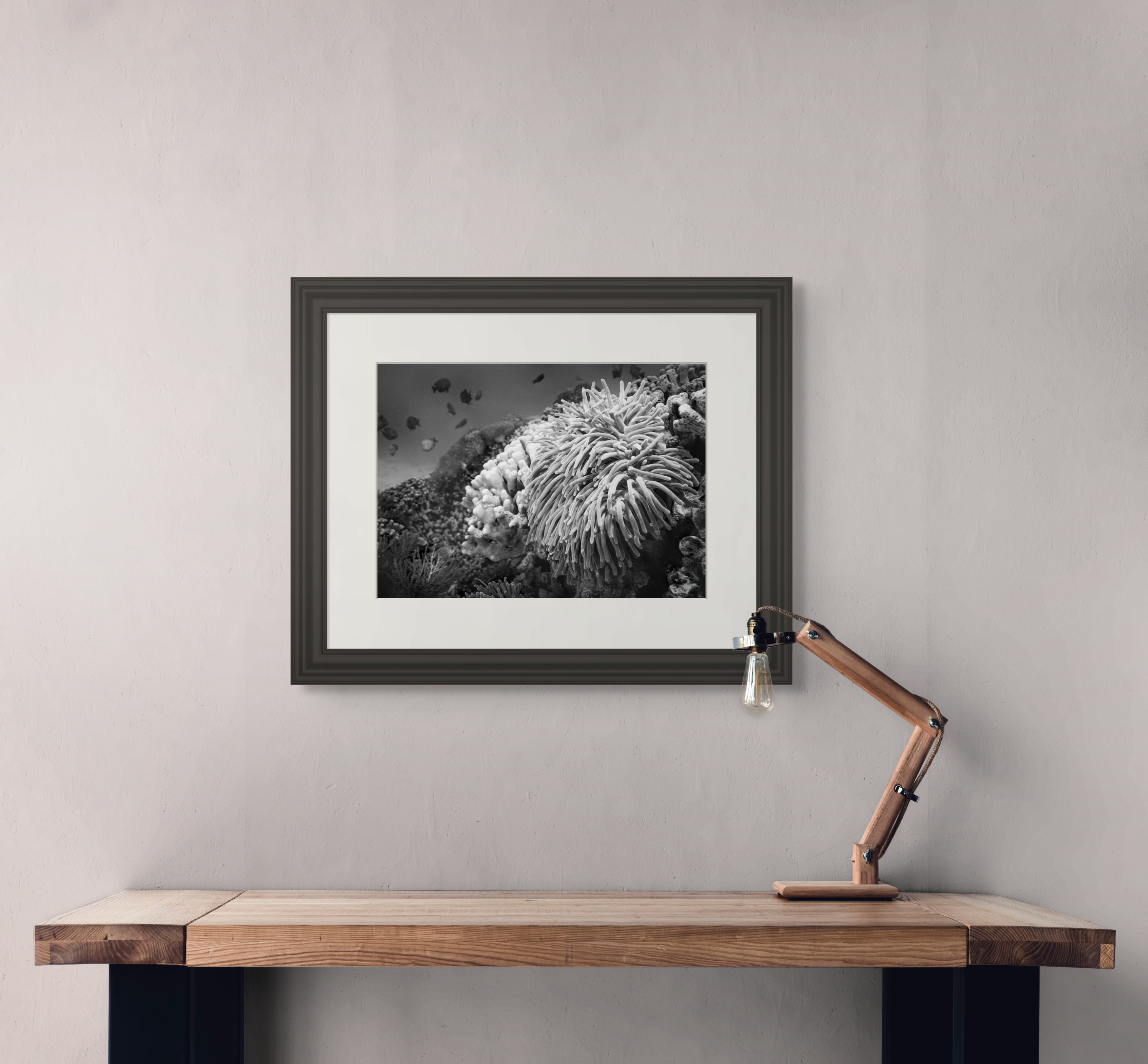 Underwater Fine Art Photography | Black and White Contemporary Coral Reef Wall Art Print