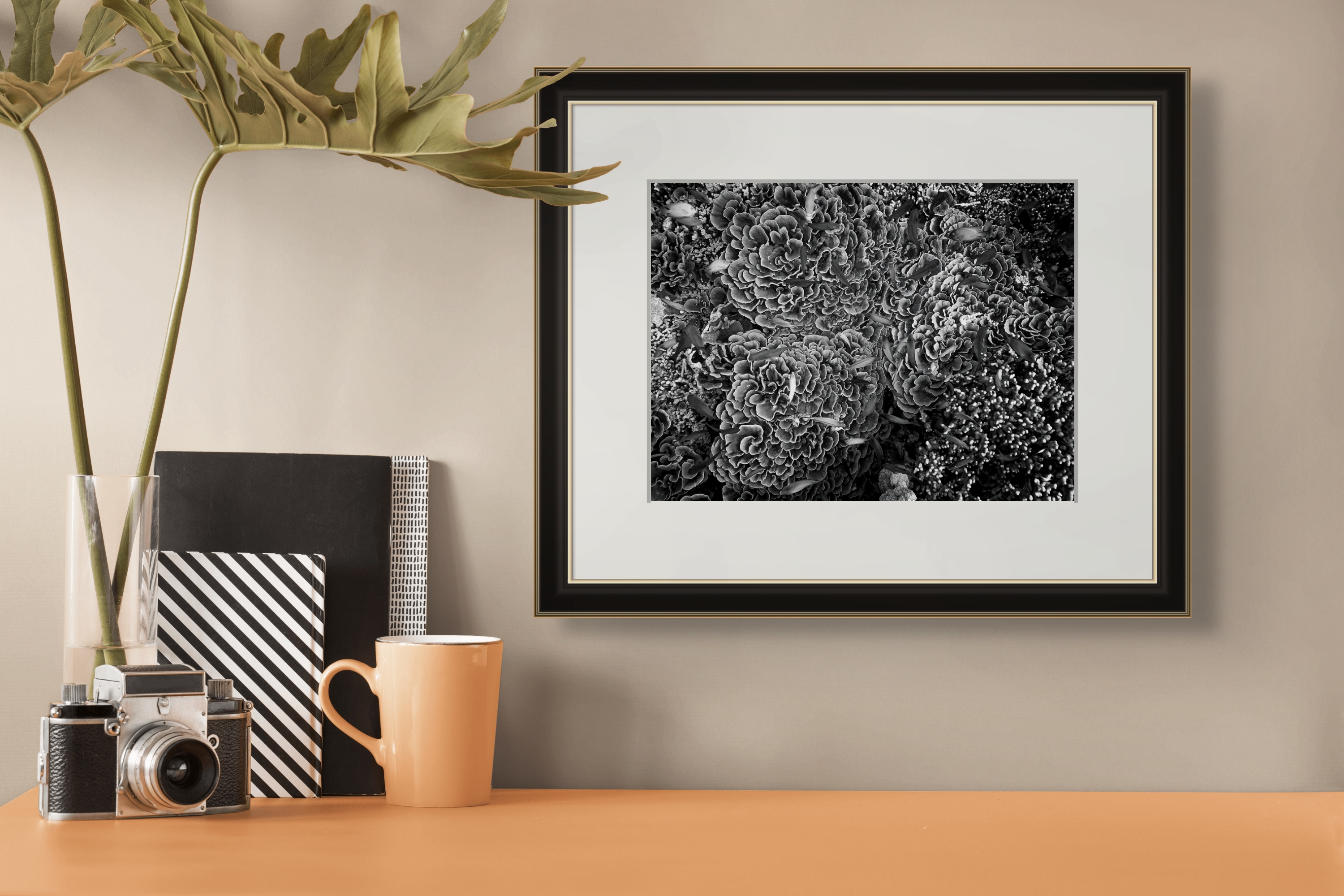 Underwater Fine Art Photography | Coral Garden Symphony Limited Edition Black White Marine Wall Art Collection