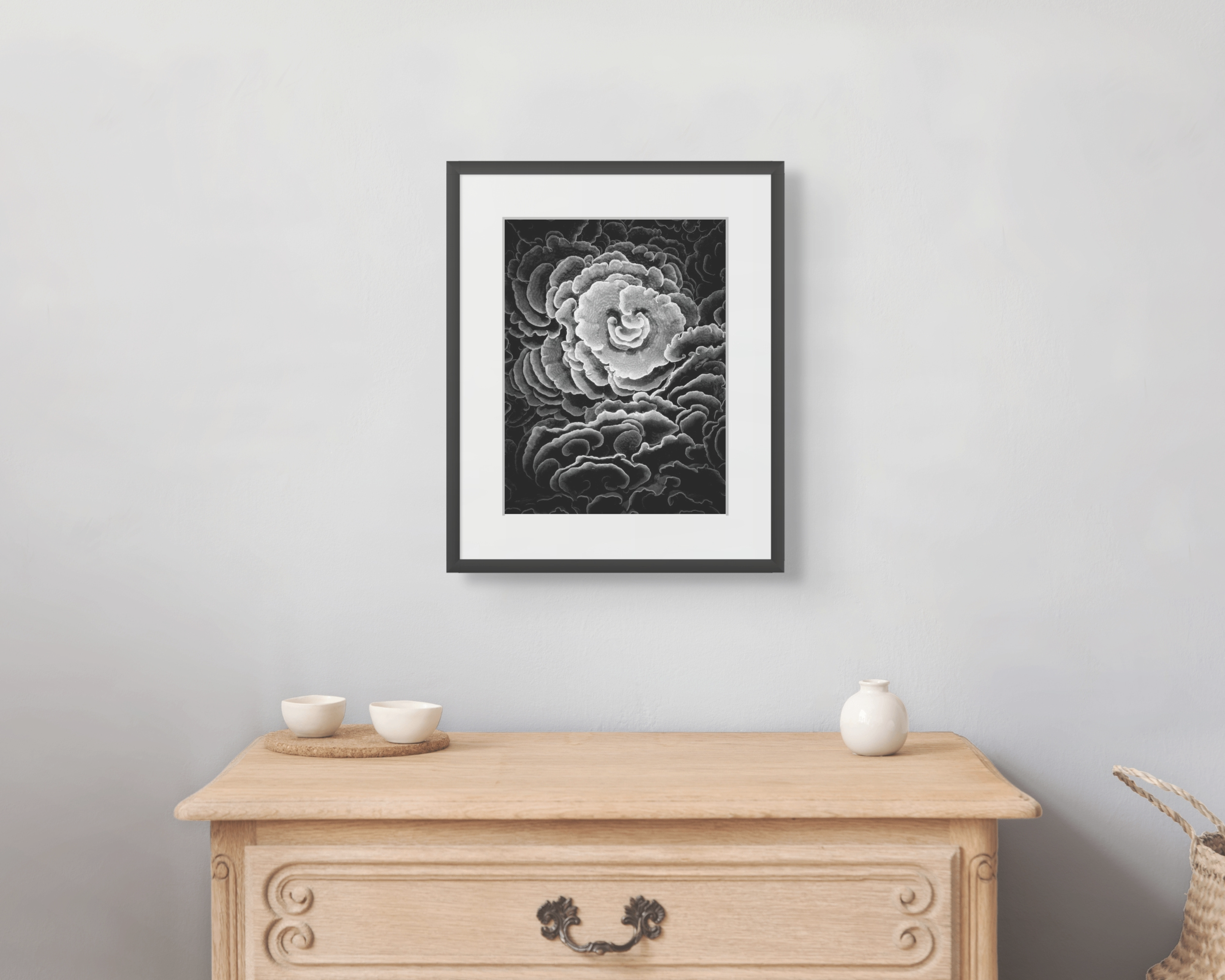 Underwater Fine Art Photography | Spiral Coral Formations Limited Edition Monochrome Marine Wall Art