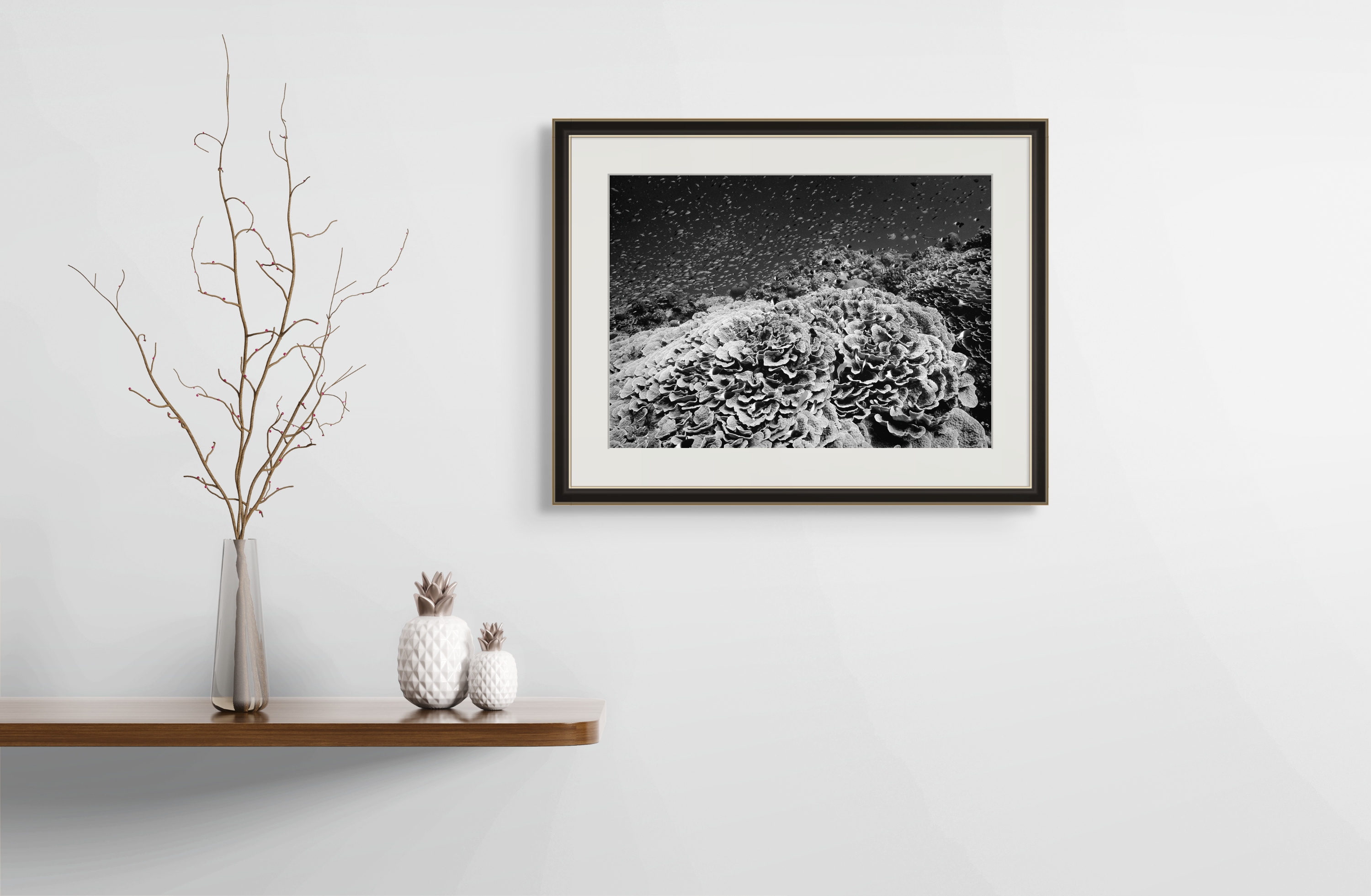 Underwater Fine Art Photography | Black and White Coral Reef Art | Museum Quality Ocean Photography 