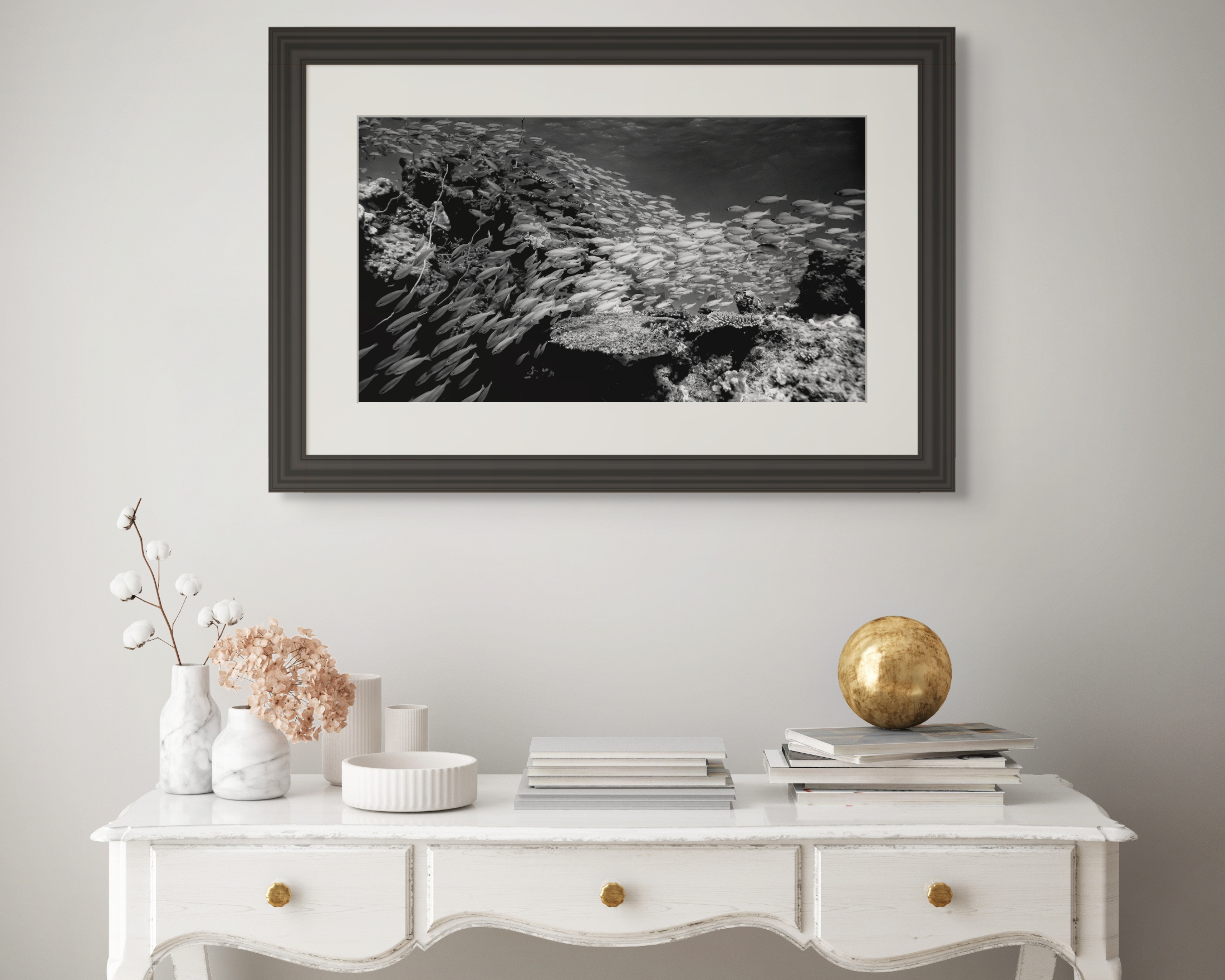 Underwater Fine Art Photography | Tropical Fish Black and White Contemporary Print 