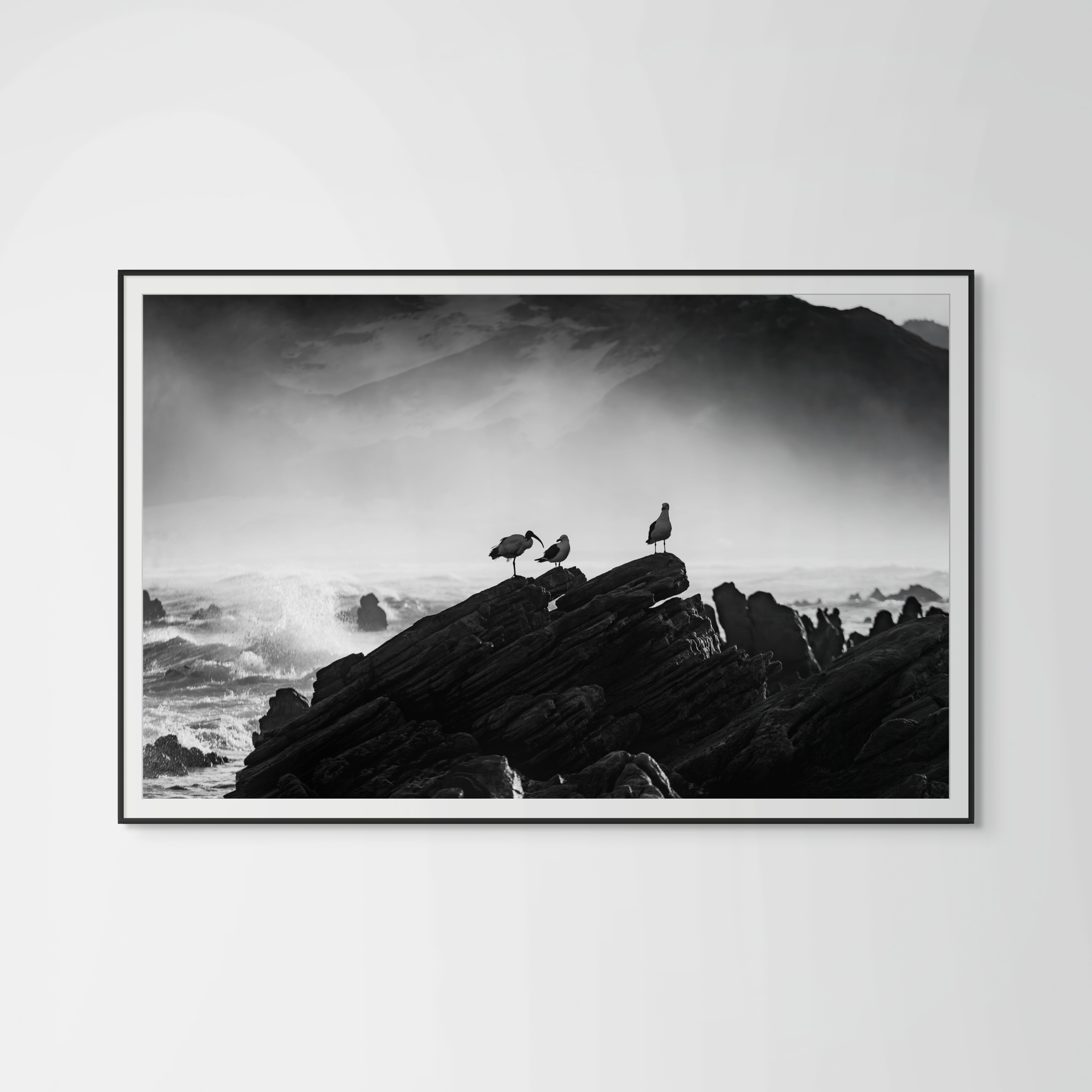 Coastal Fine Art Photography | Standing Still Seabird Meditation Limited Edition Black White Nature Collection