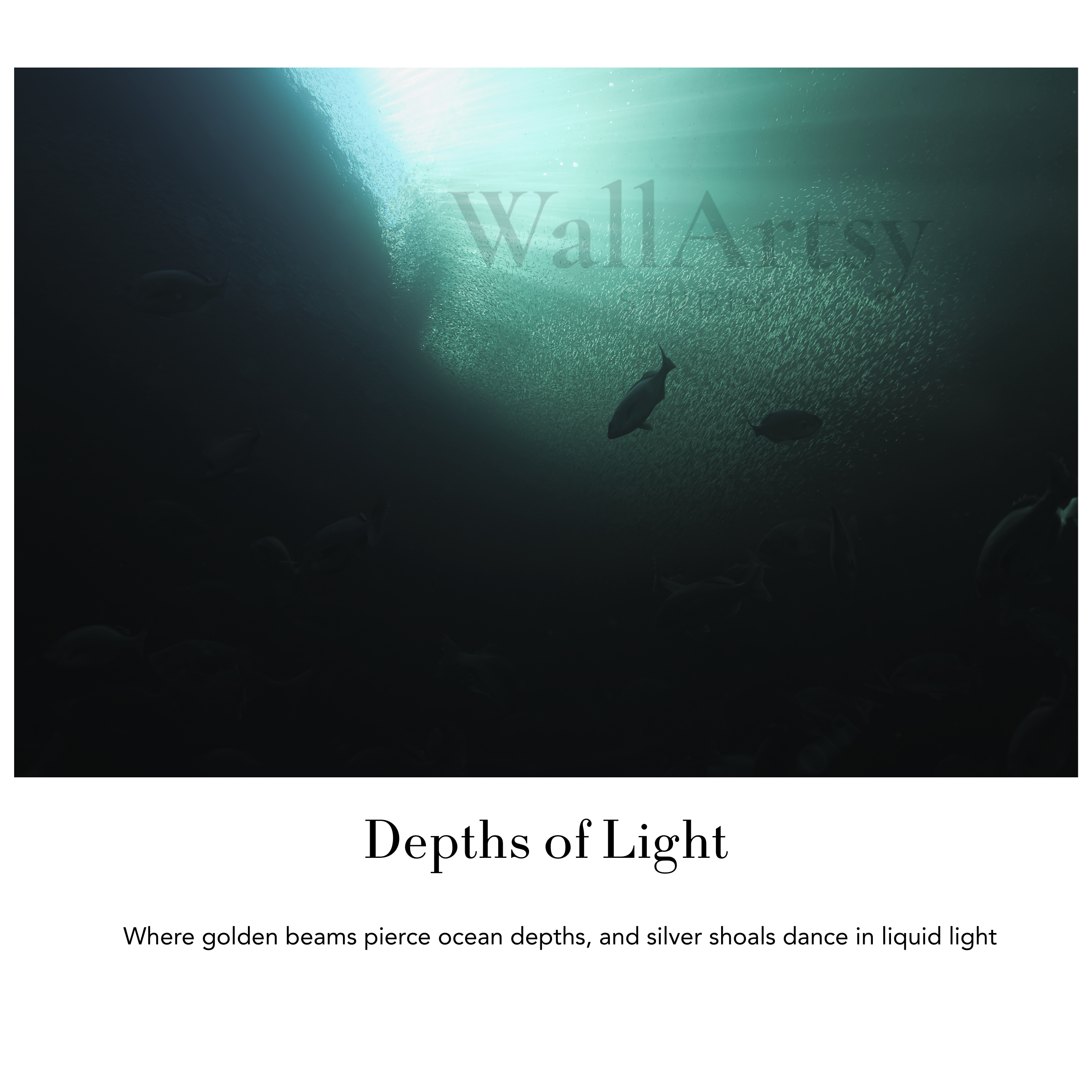Underwater Fine Art Photography | Depths of Light Silver Shoals Limited Edition Atlantic Marine Wildlife Collection