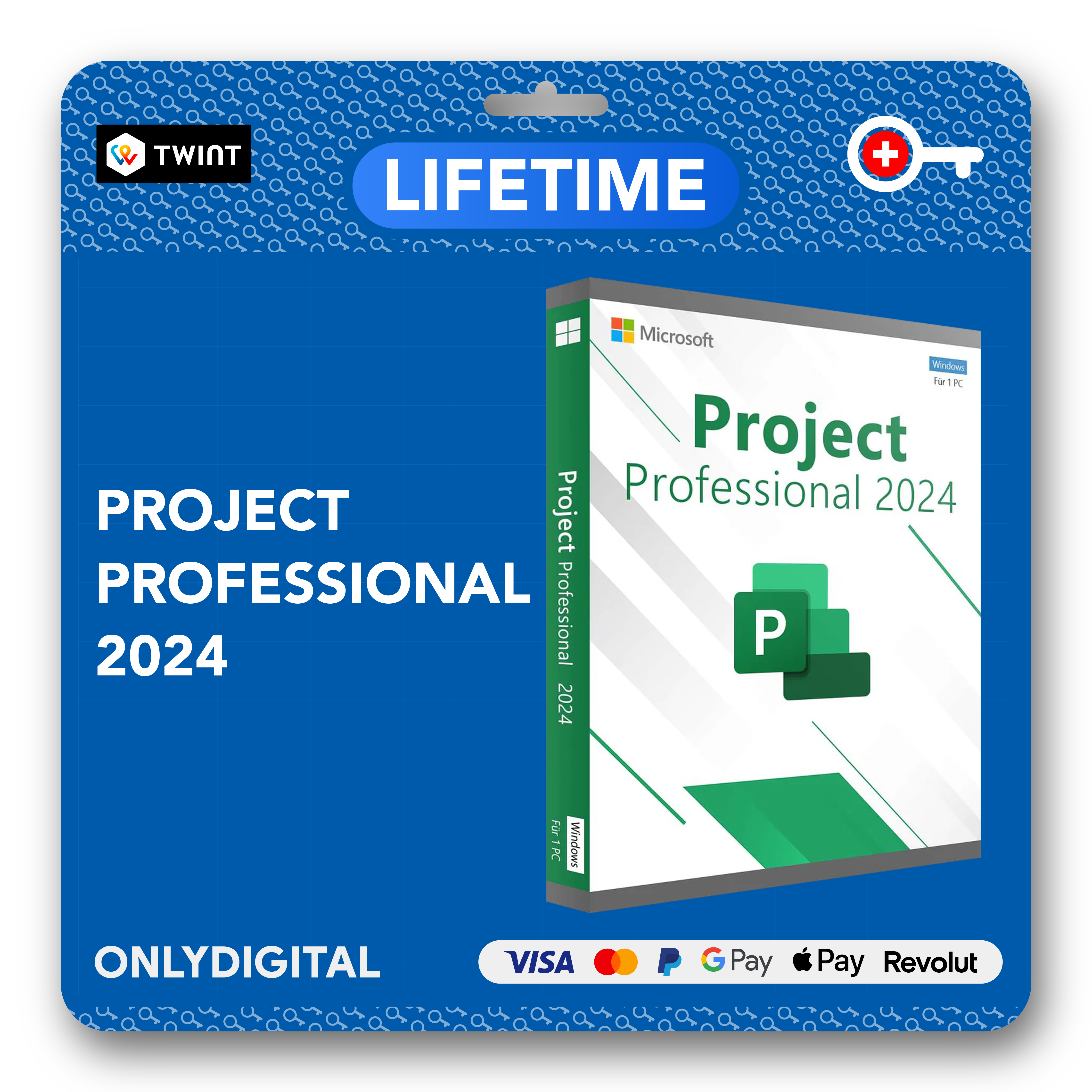 Microsoft Project 2024 Professional