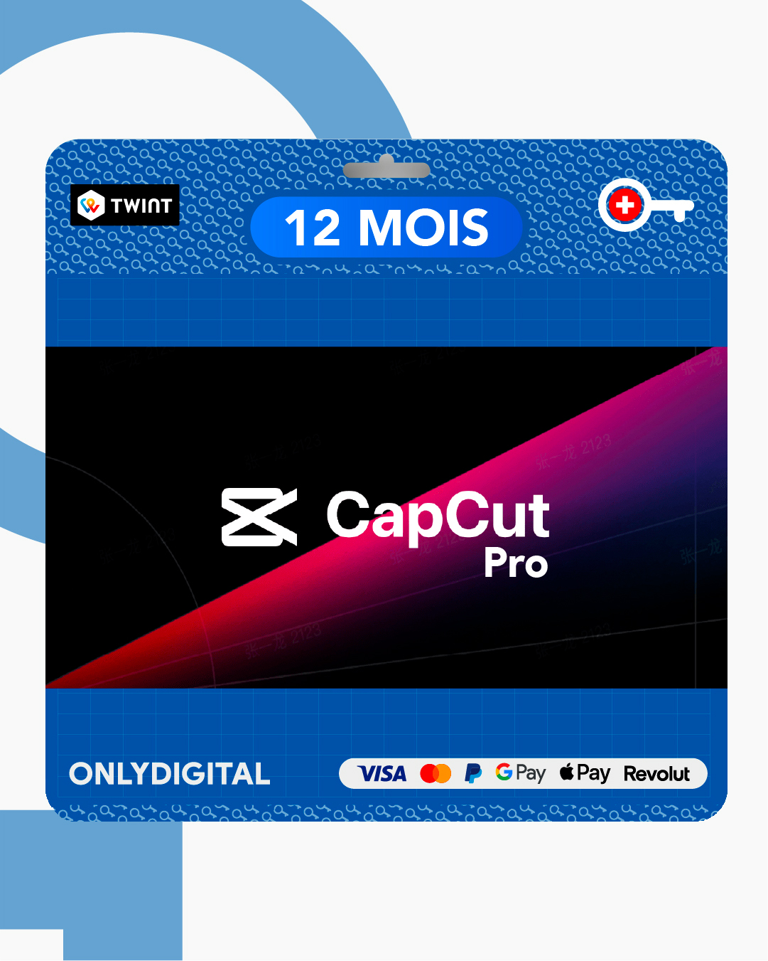 CapCut Pro 12 mois