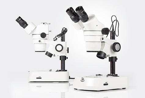Motic SMZ-171: A Versatile Stereo Zoom Microscope