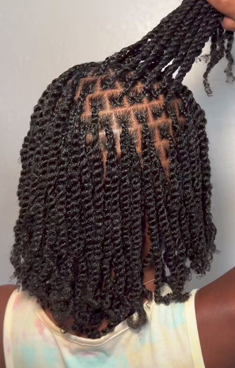  Natural Hair Mini braids &Mini Twists
