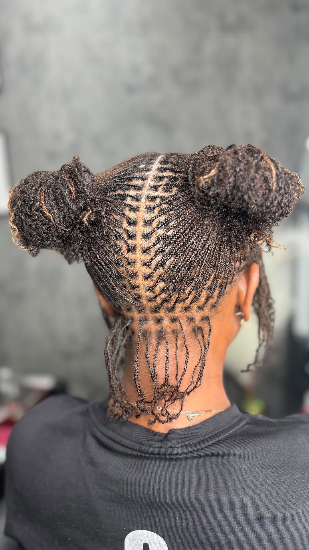 Natural Hair Mini braids &Mini Twists