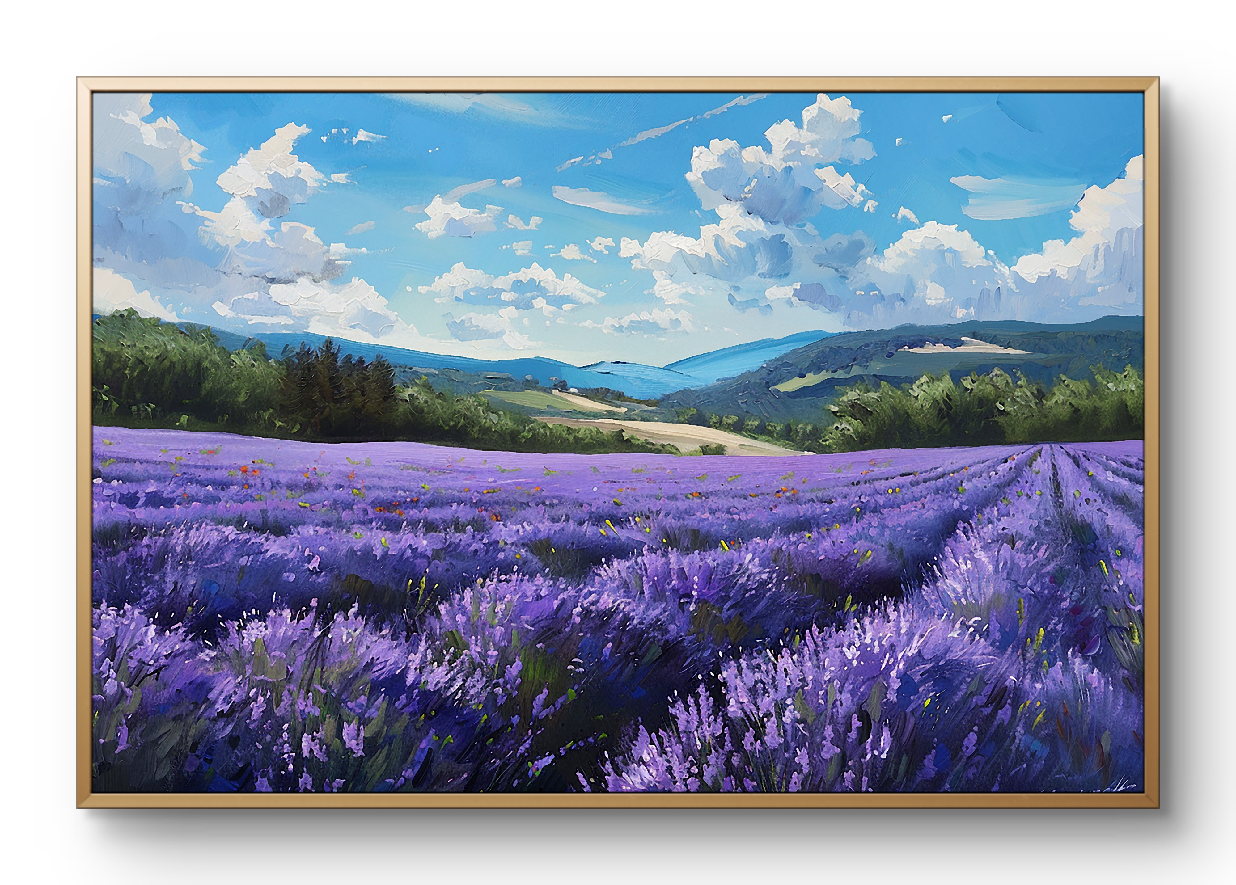 Lavender Field