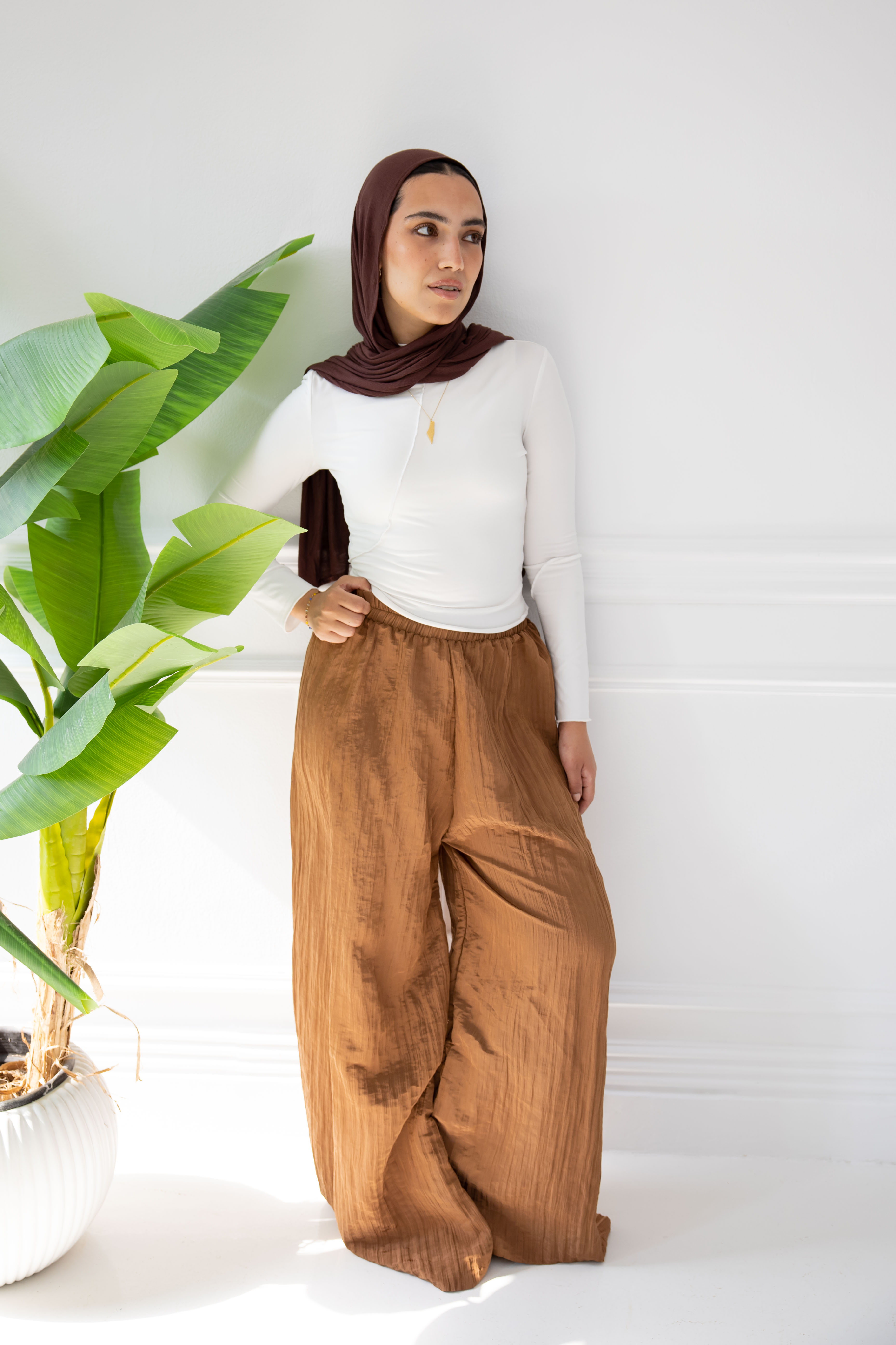 Crushed Pants - Brown