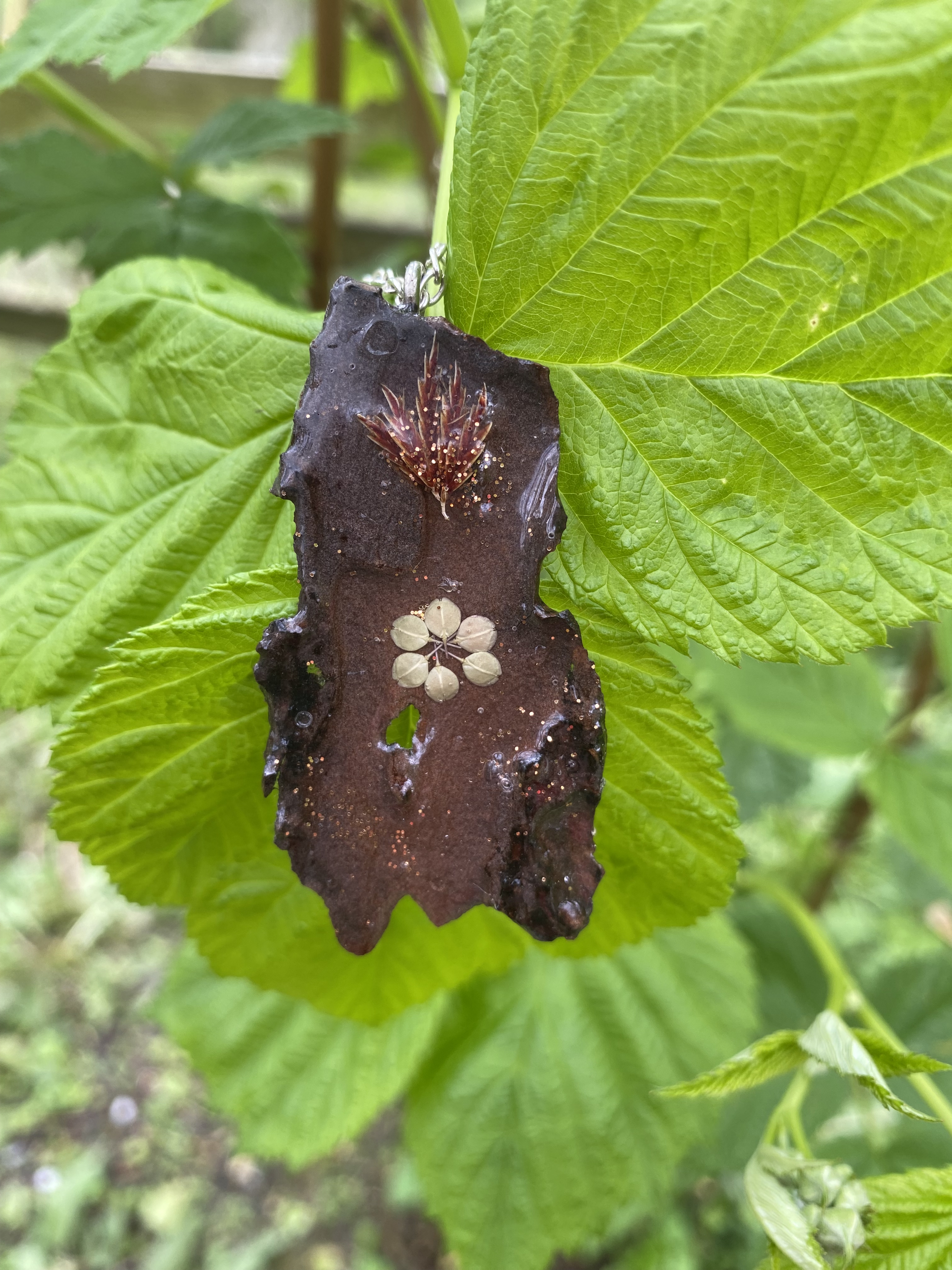 Floraison inattendue