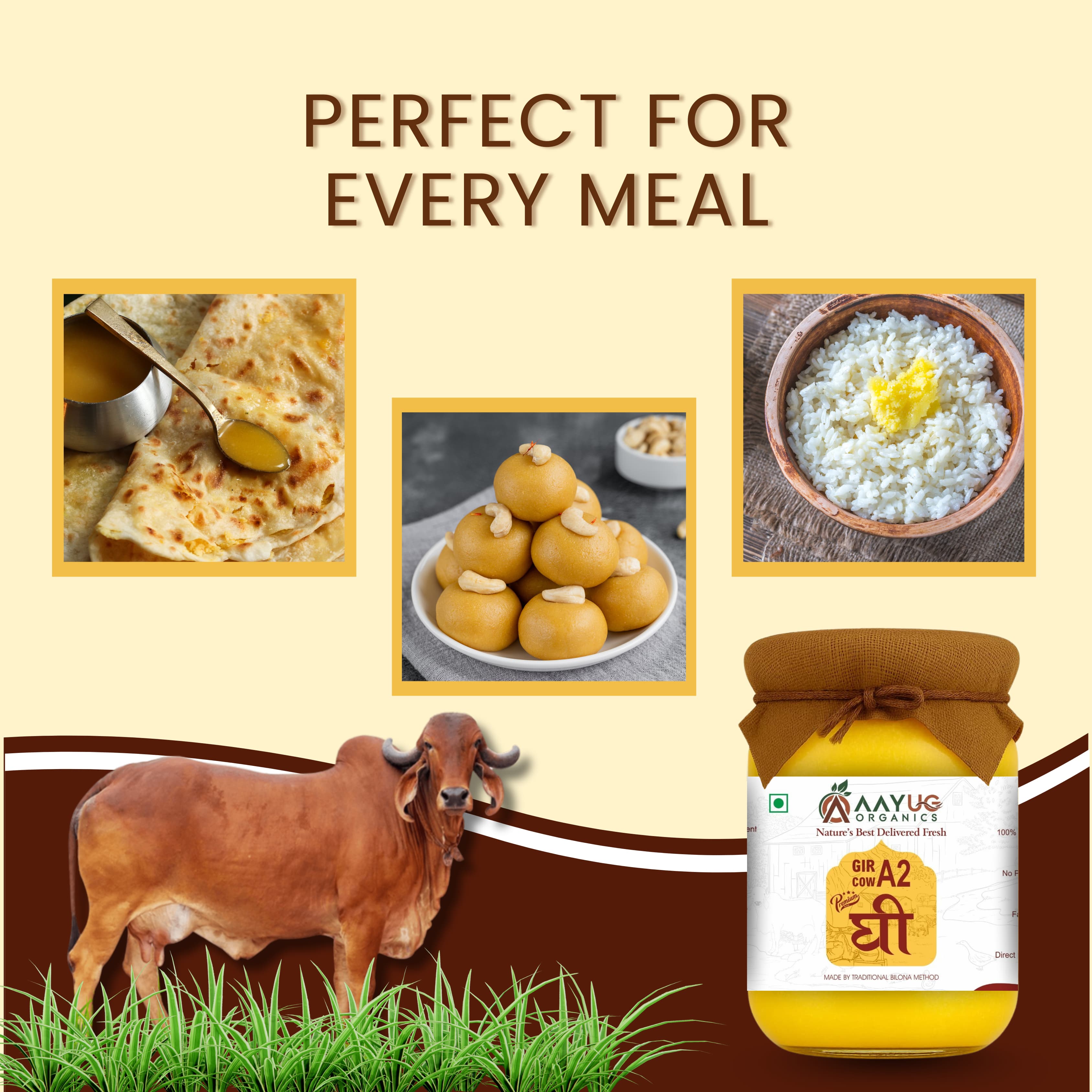 A2 Gir Cow Ghee | Traditional Bilona Method Ghee | Grassfed & Healthy Cow Ghee