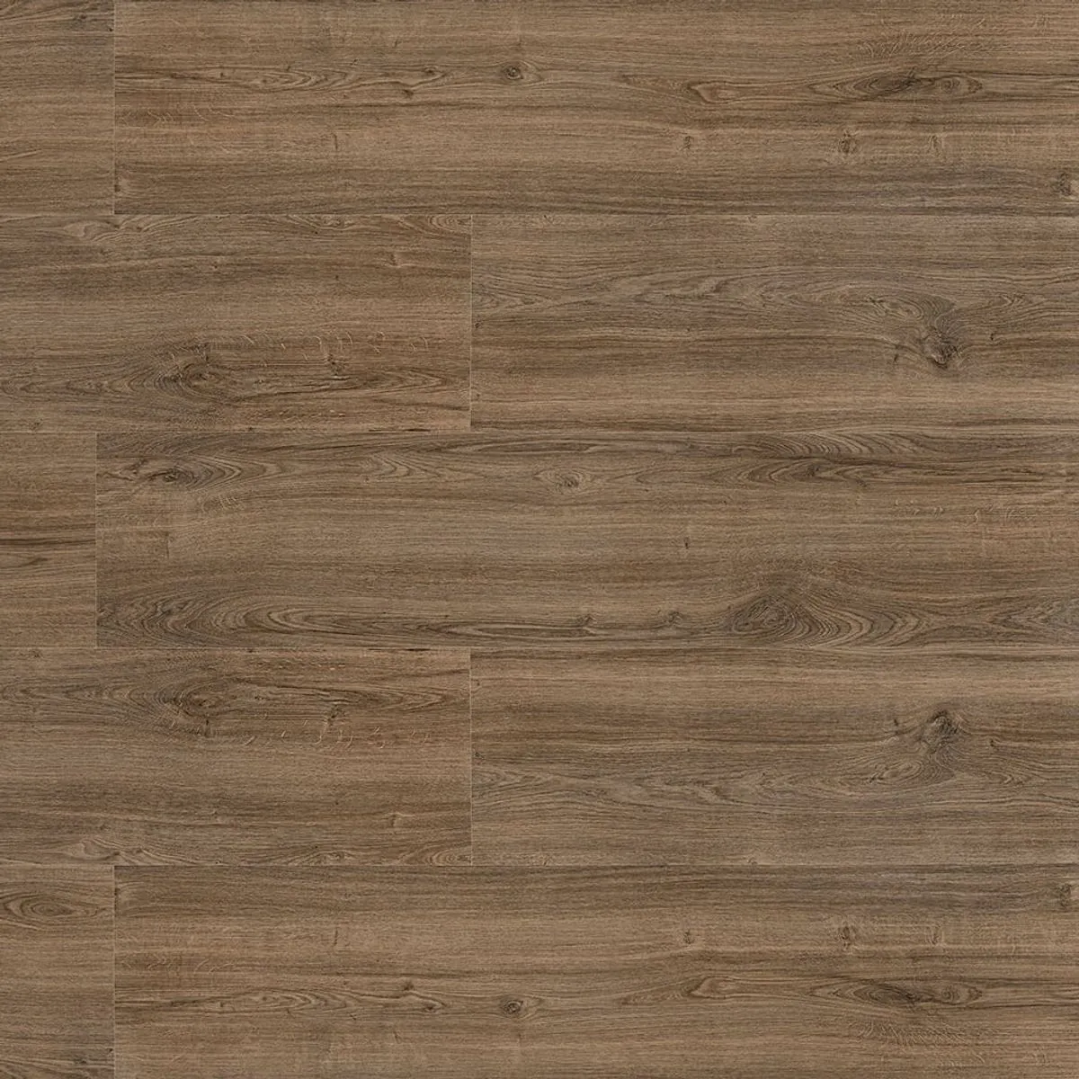 Classic Oak New Evidence Eucafloor Piso Laminado Click — valor do m2
