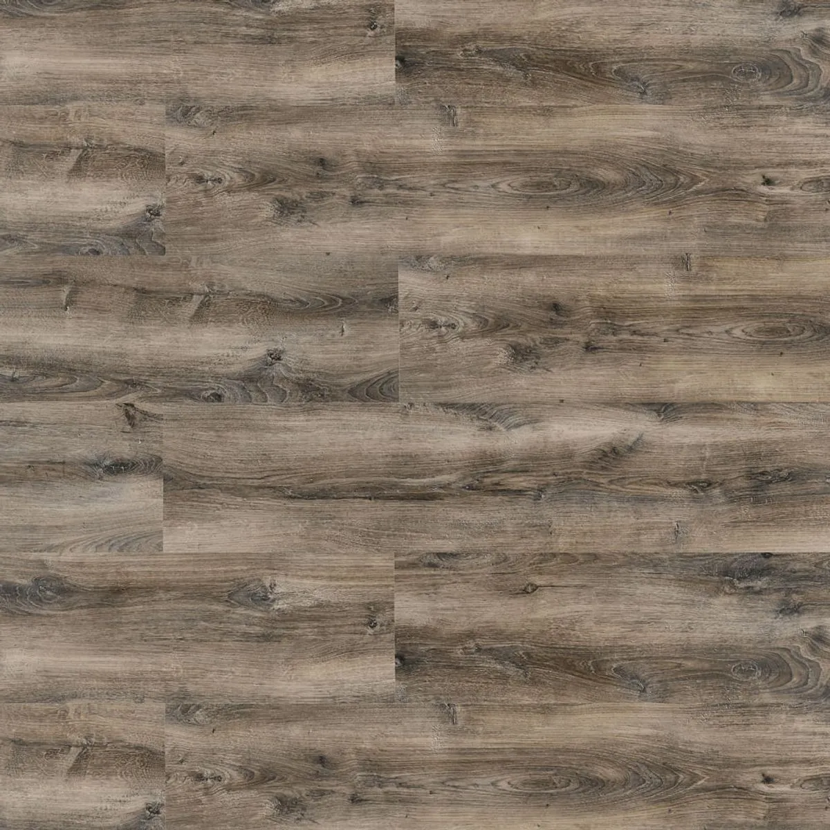 Celtic Oak New Evidence Eucafloor Piso Laminado Click — valor do m2