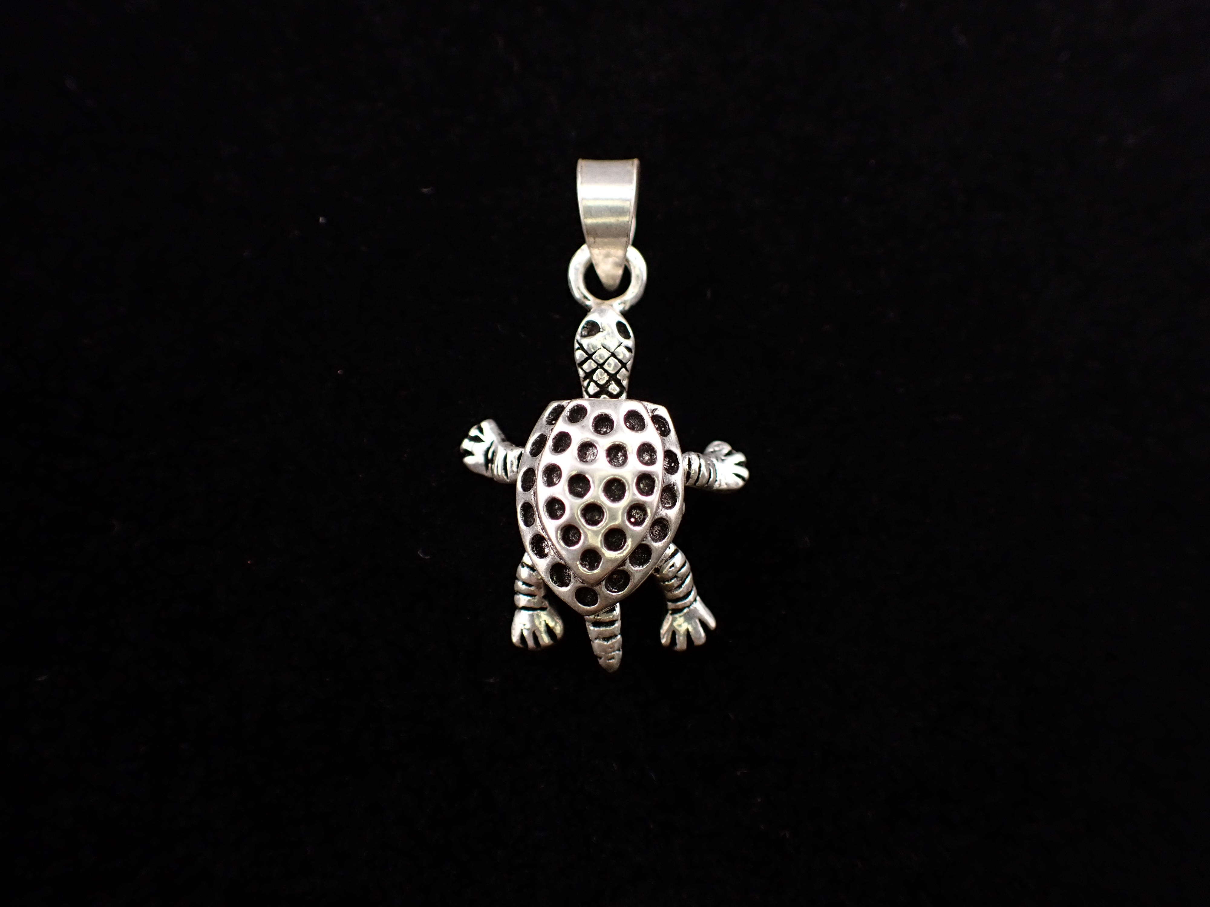 Silver Turtle Pendant