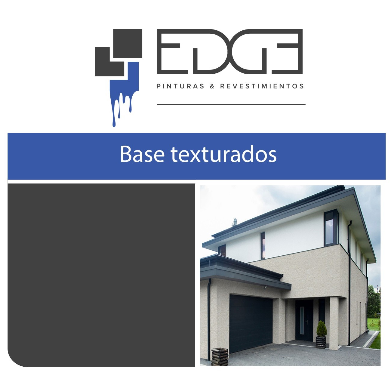 Base unica para revestimientos texturados
