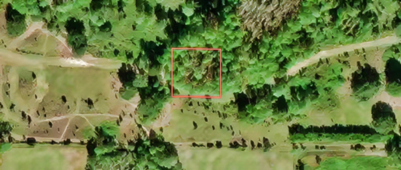 Least Expensive Vacant Land in Lakeland